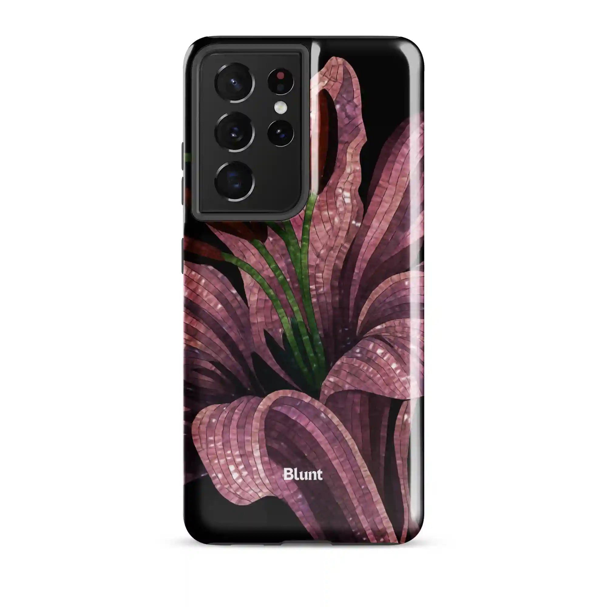bluntcasesus.it.com