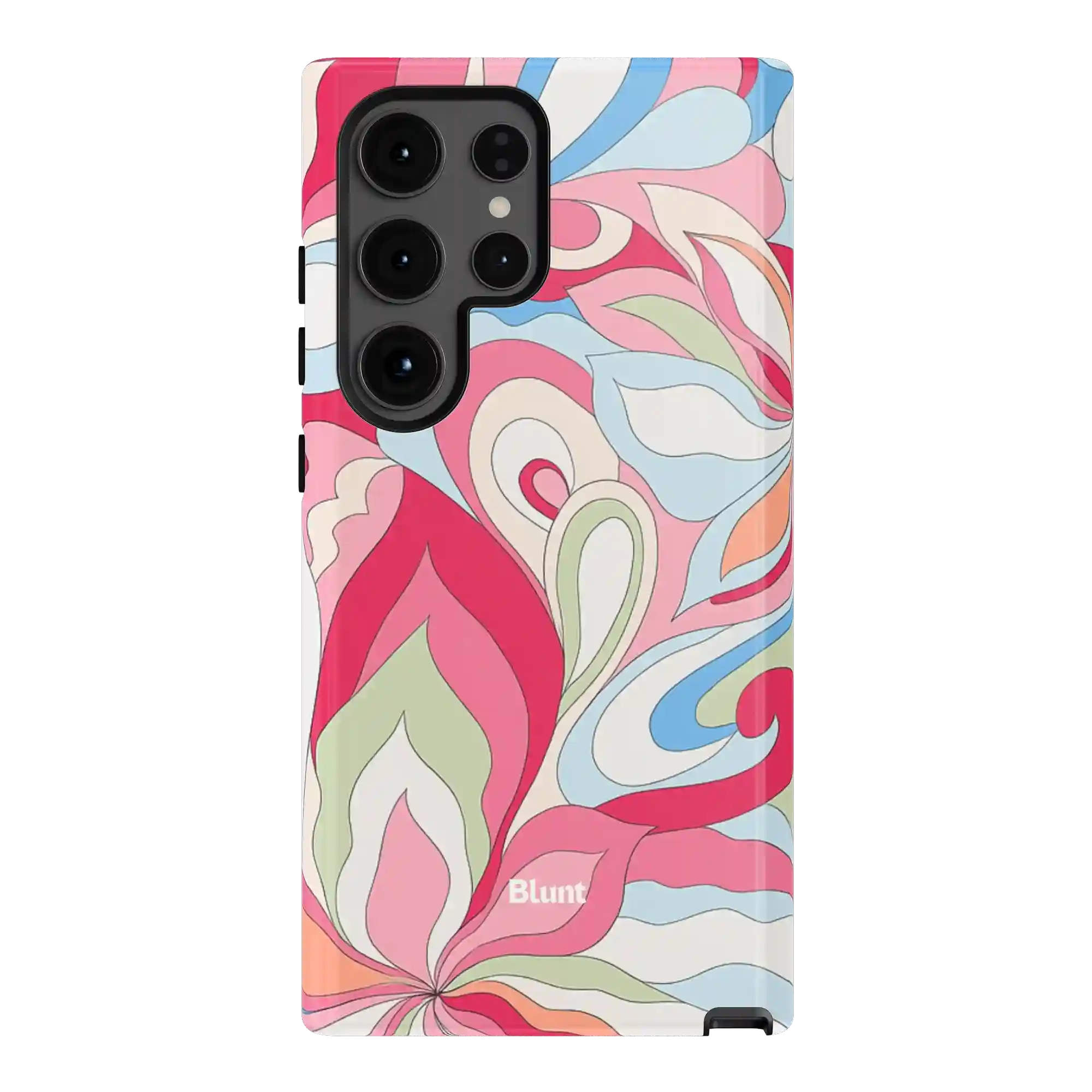 bluntcasesus.it.com