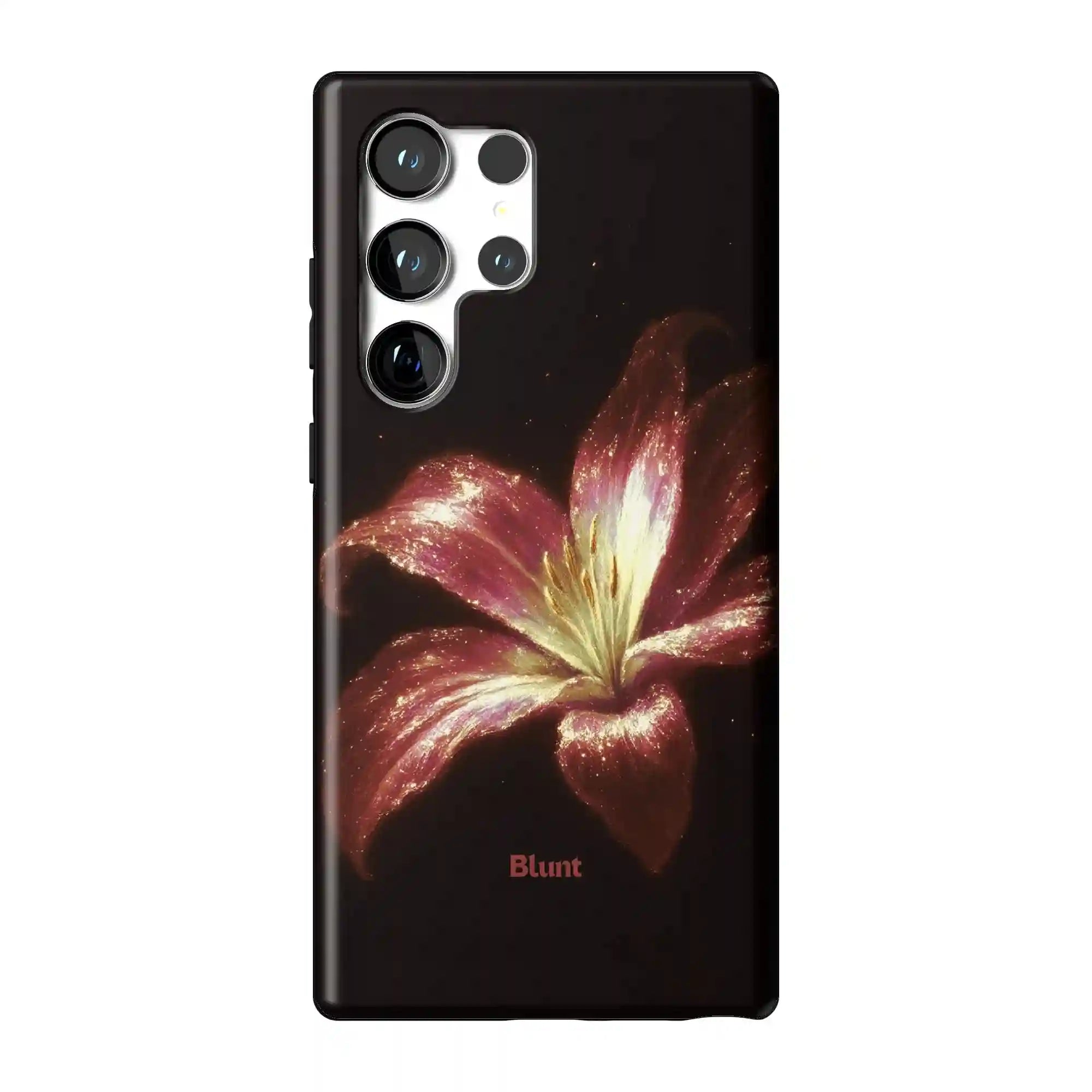 bluntcasesus.it.com