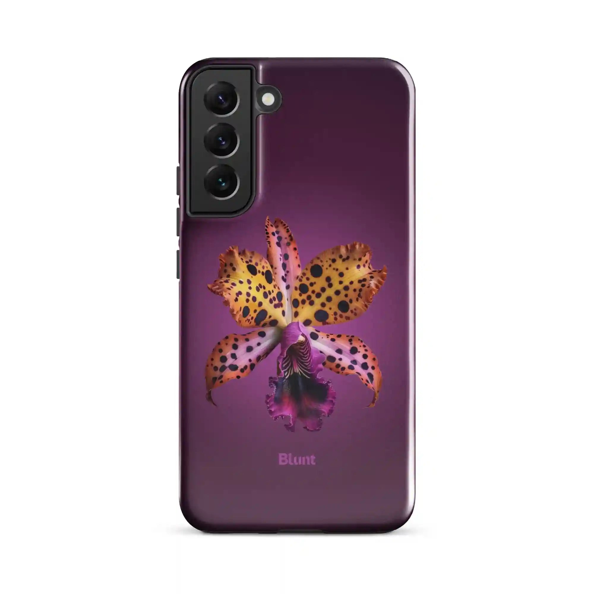 bluntcasesus.it.com