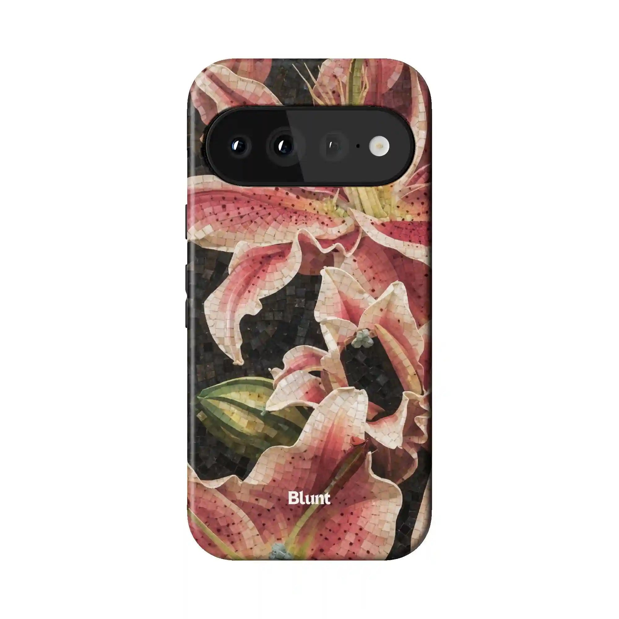 bluntcasesus.it.com