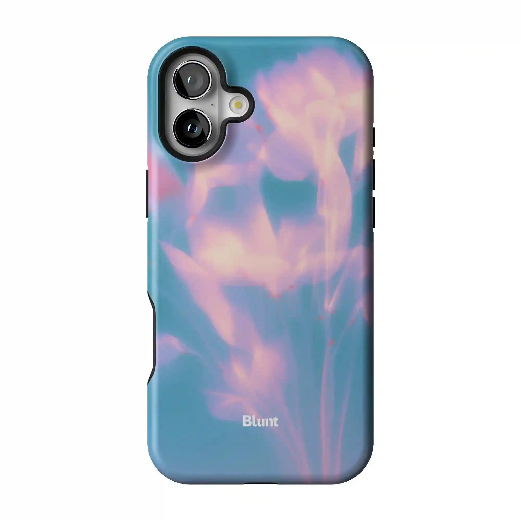 bluntcasesus.it.com