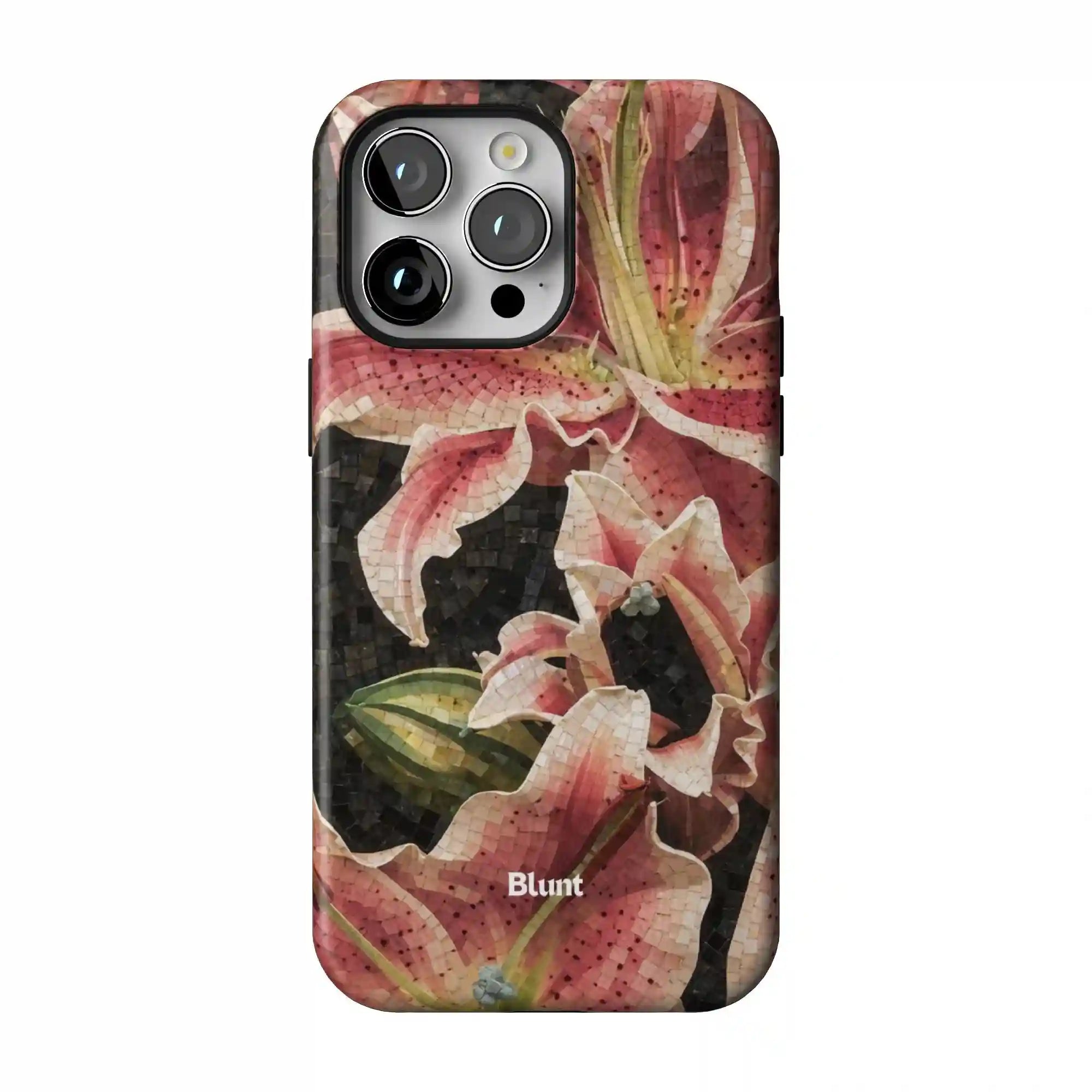 bluntcasesus.it.com