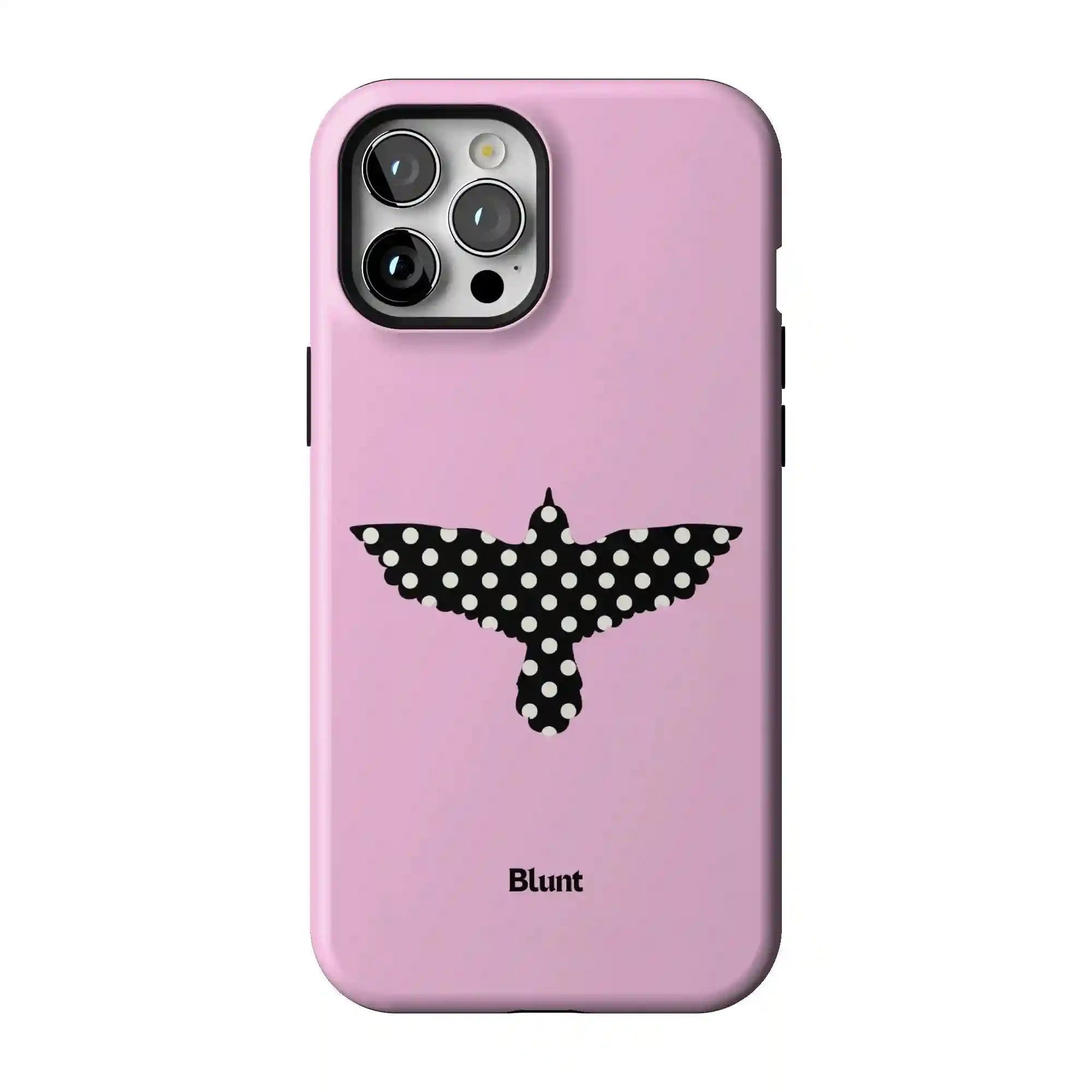 bluntcasesus.it.com