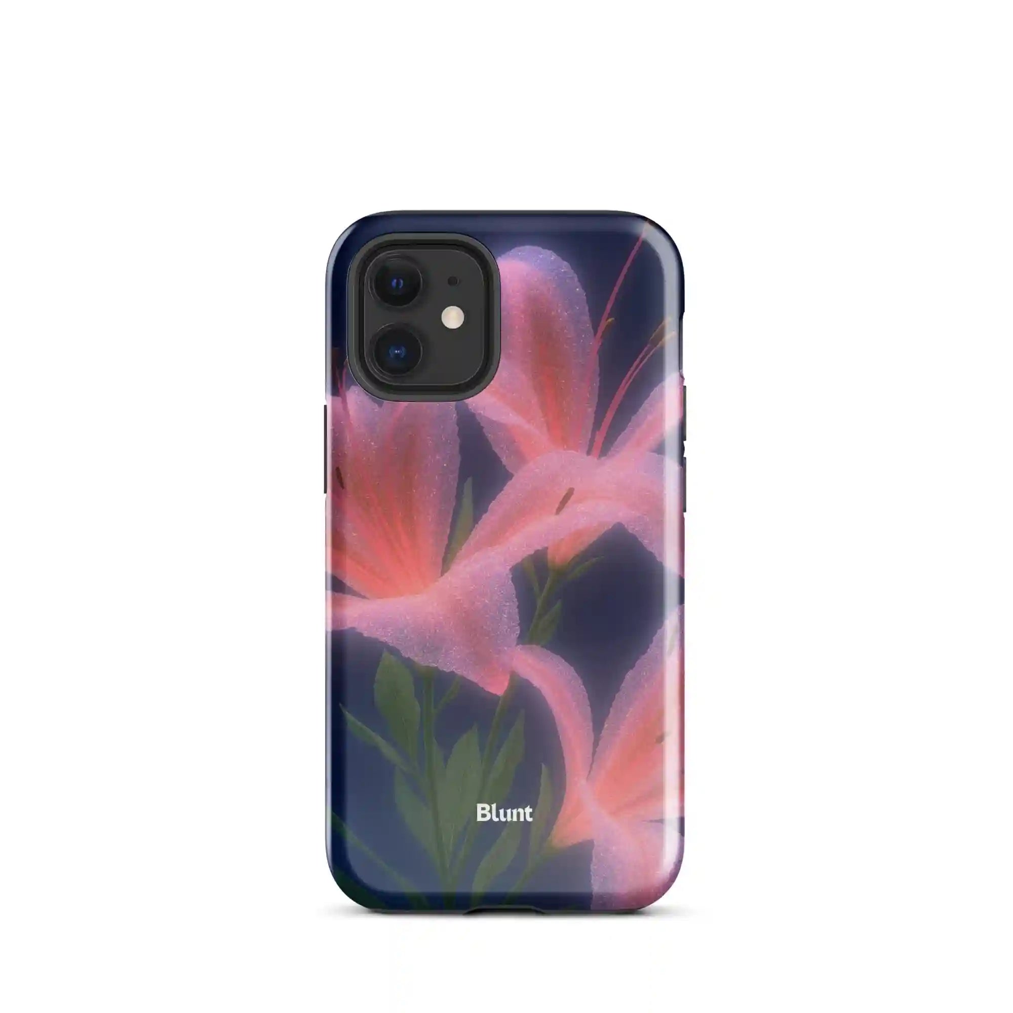 bluntcasesus.it.com