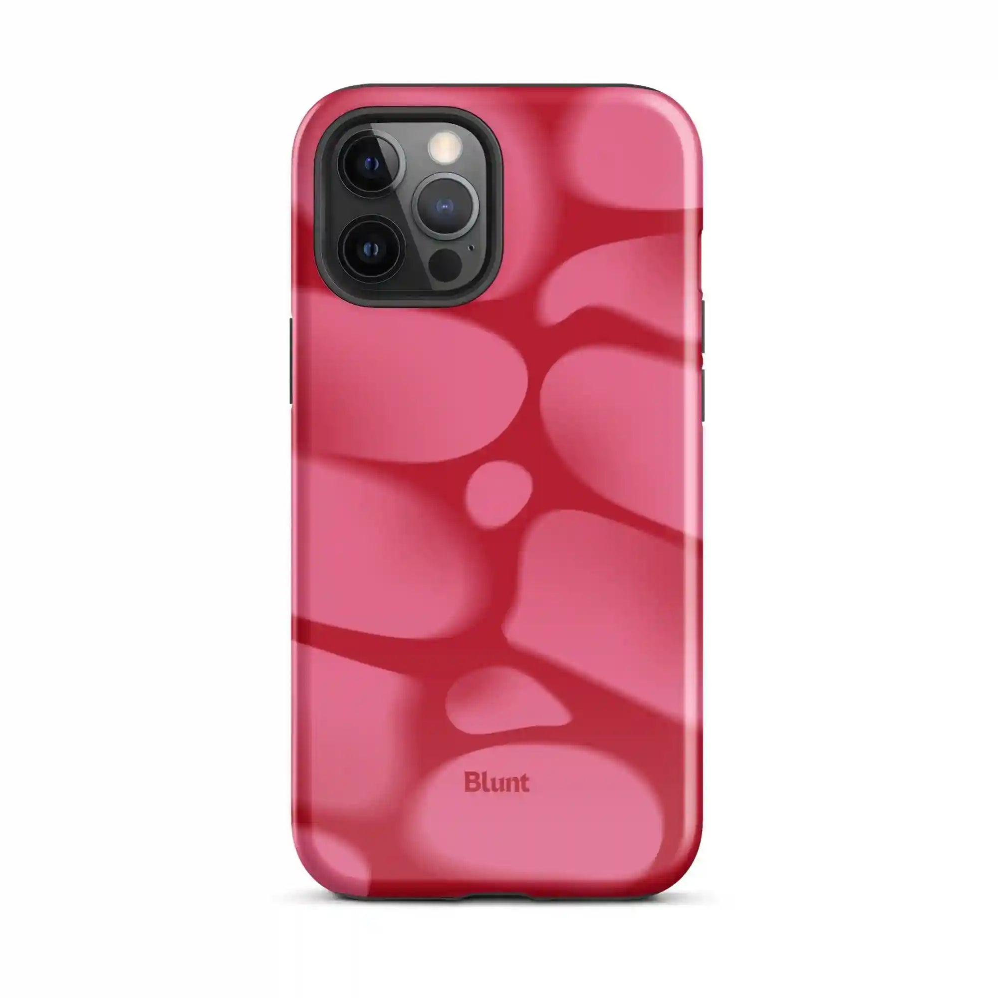 bluntcasesus.it.com