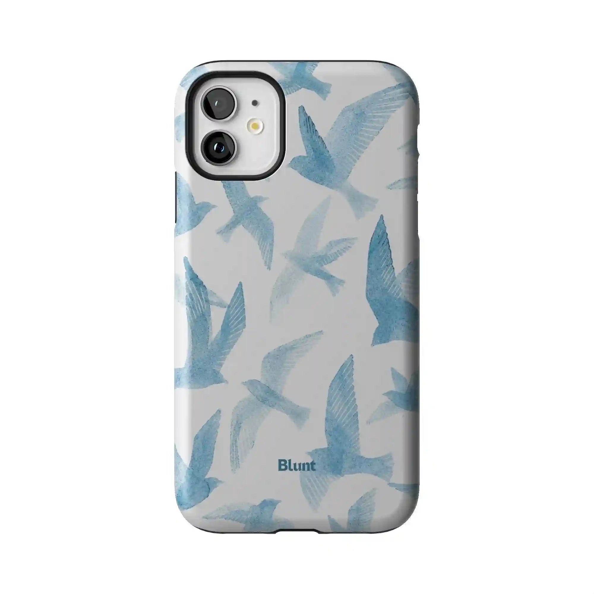 bluntcasesus.it.com