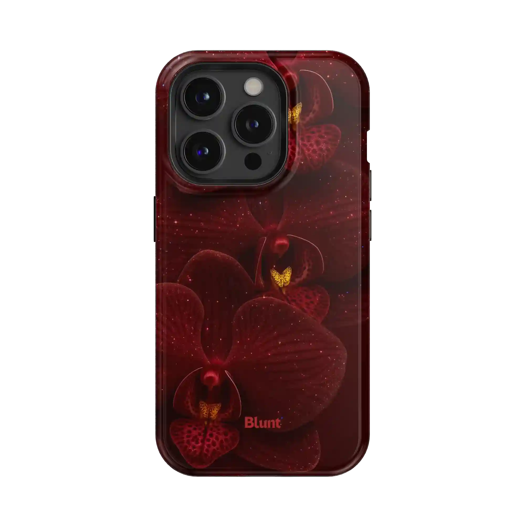 bluntcasesus.it.com