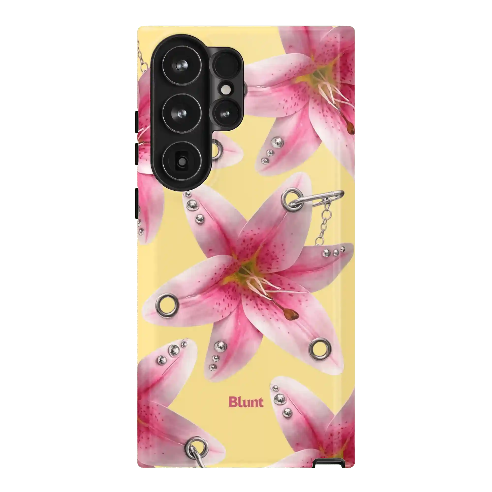 bluntcasesus.it.com