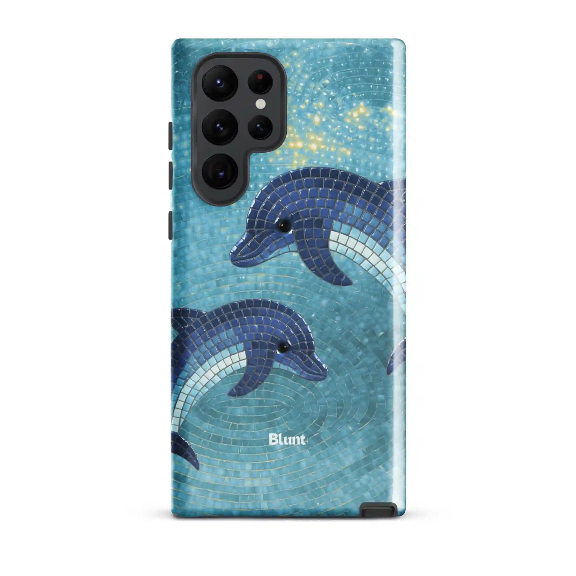 bluntcasesus.it.com
