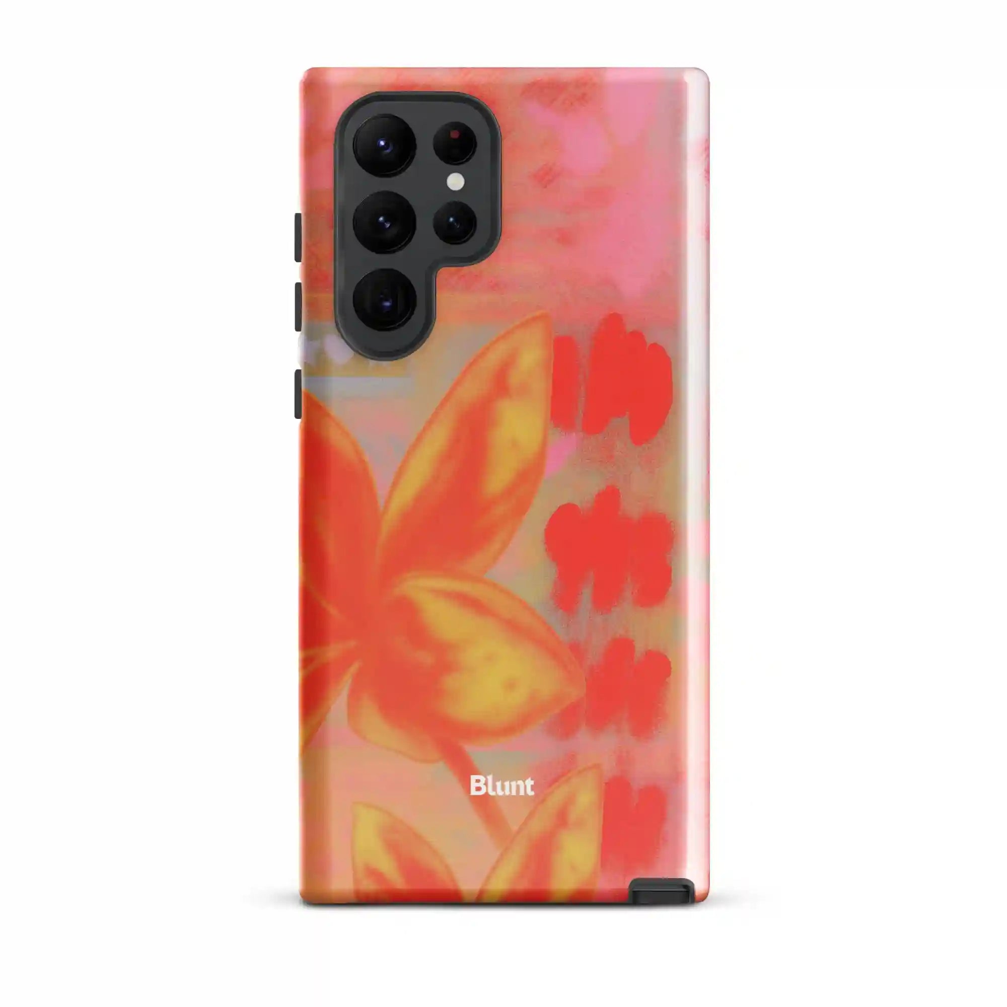 bluntcasesus.it.com