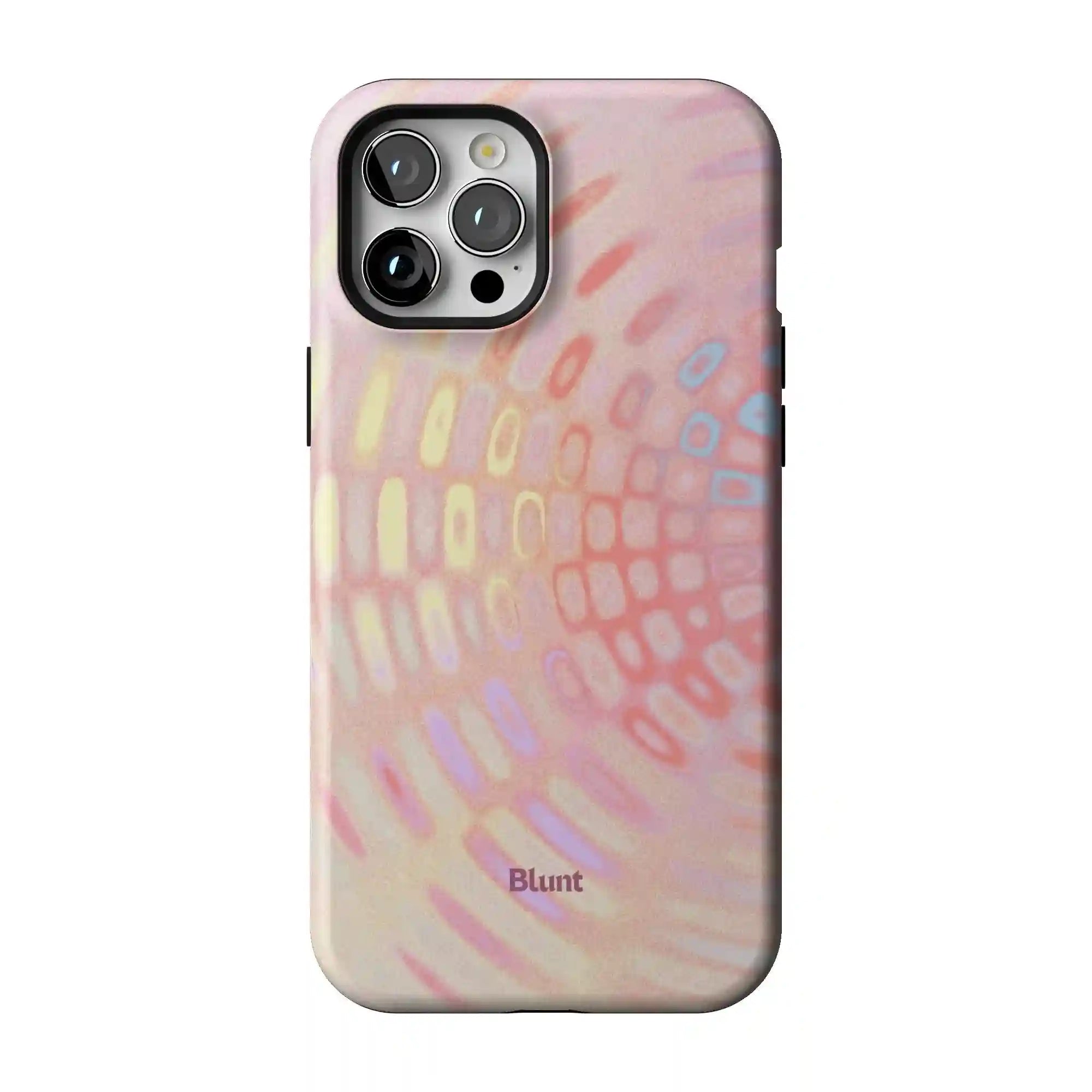 bluntcasesus.it.com