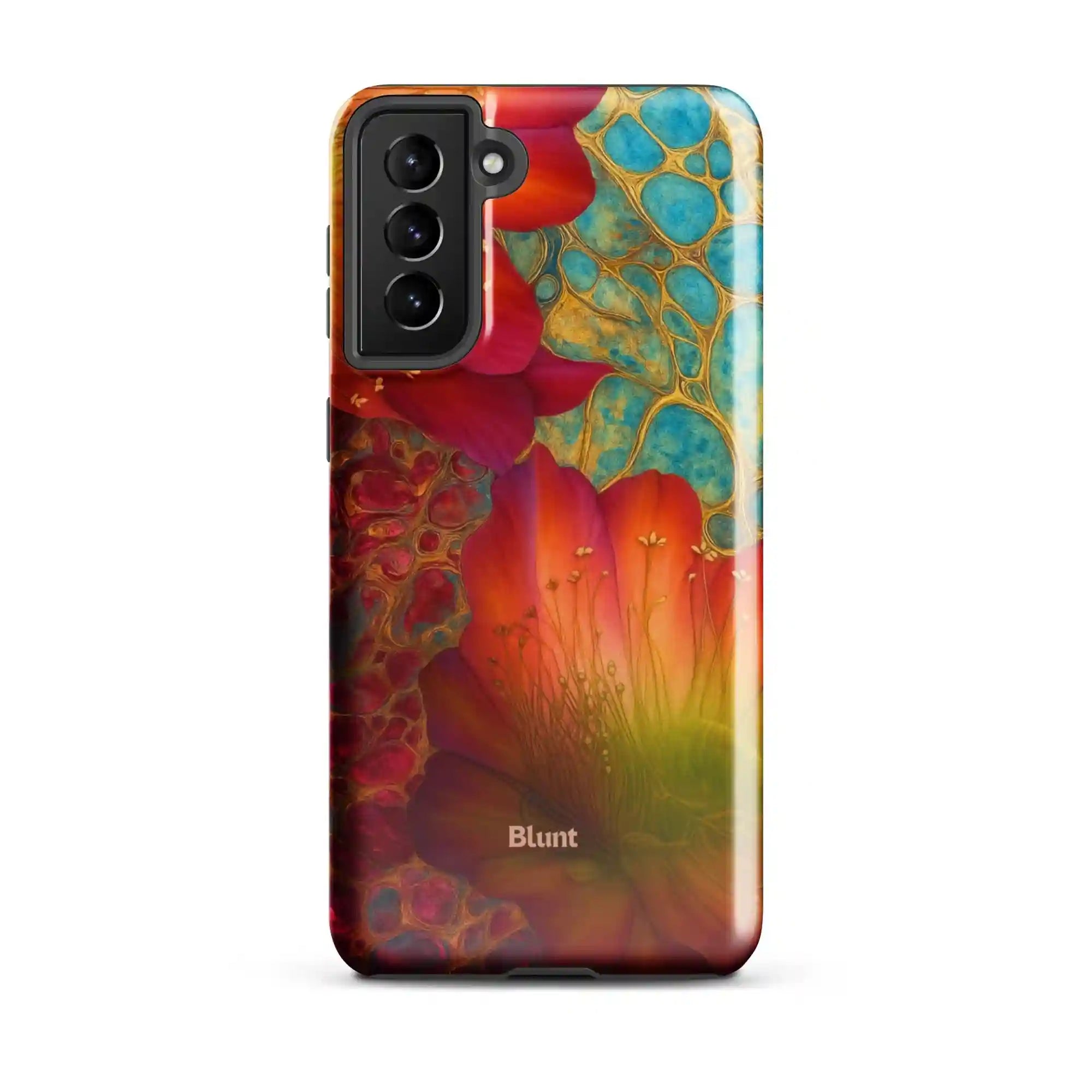 bluntcasesus.it.com