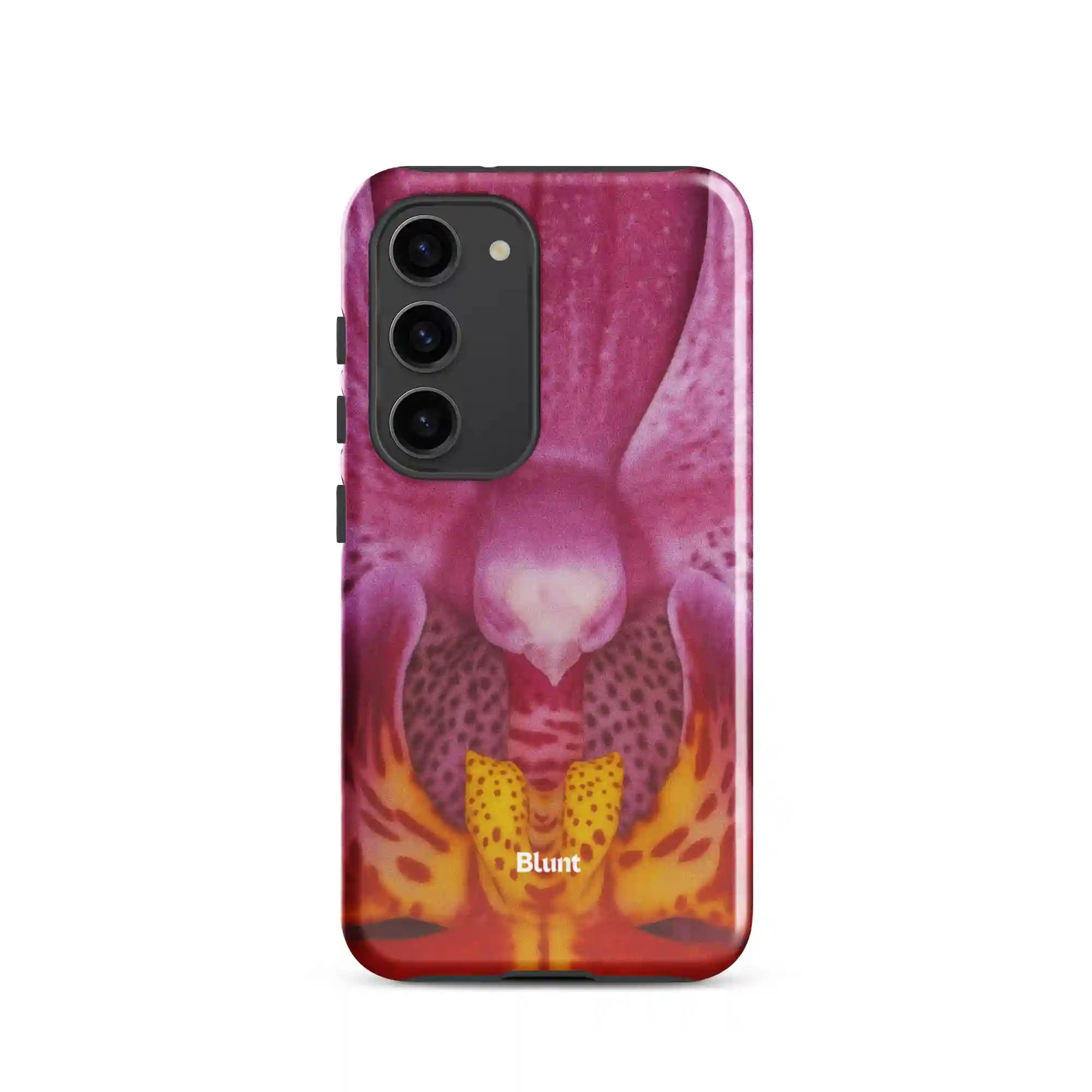 bluntcasesus.it.com
