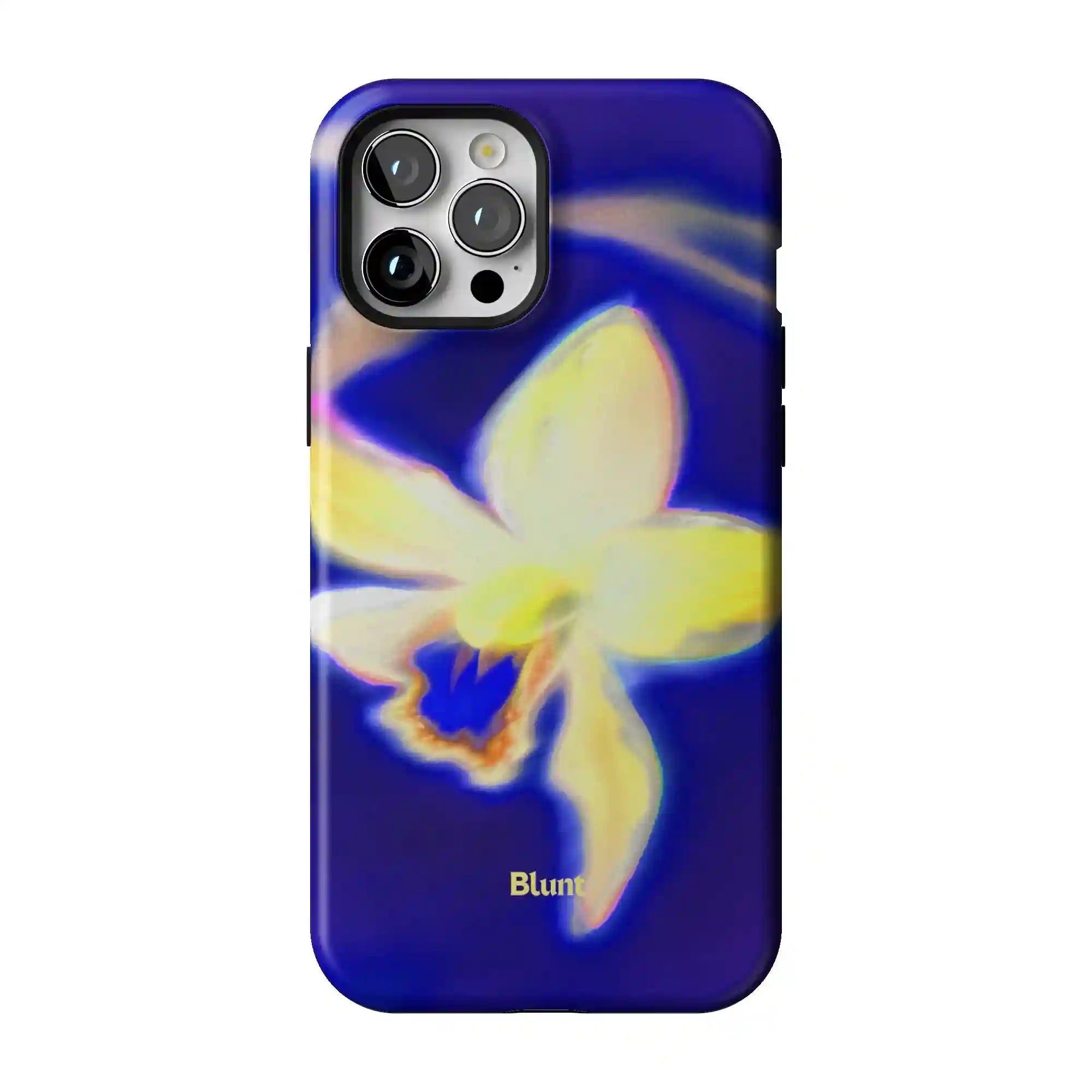 bluntcasesus.it.com