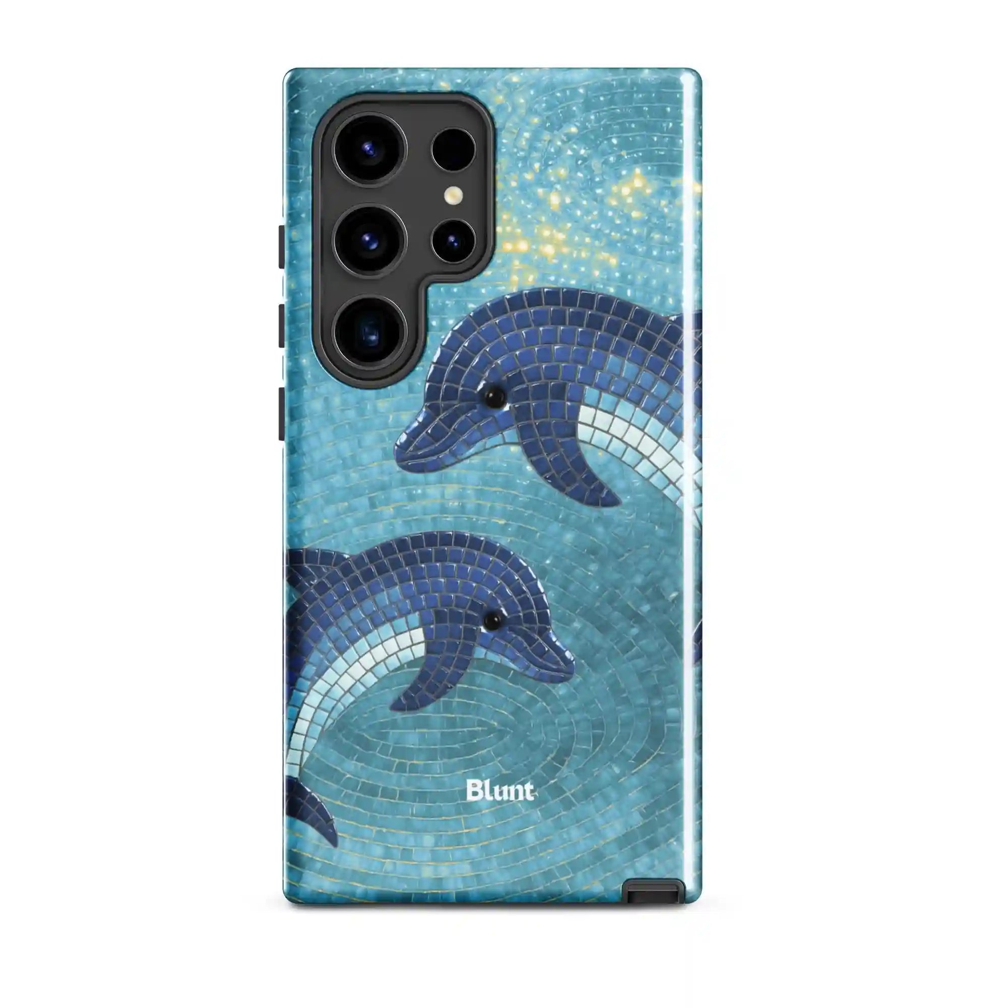 bluntcasesus.it.com