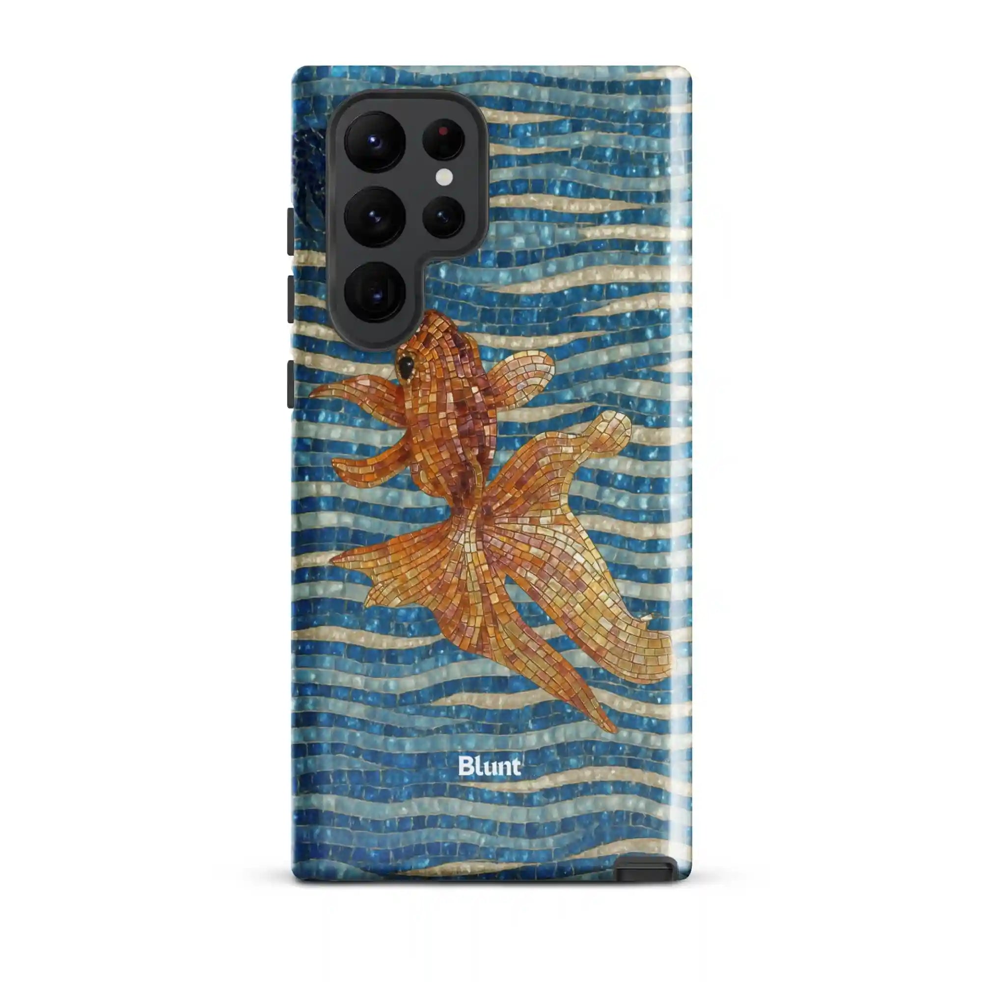 bluntcasesus.it.com