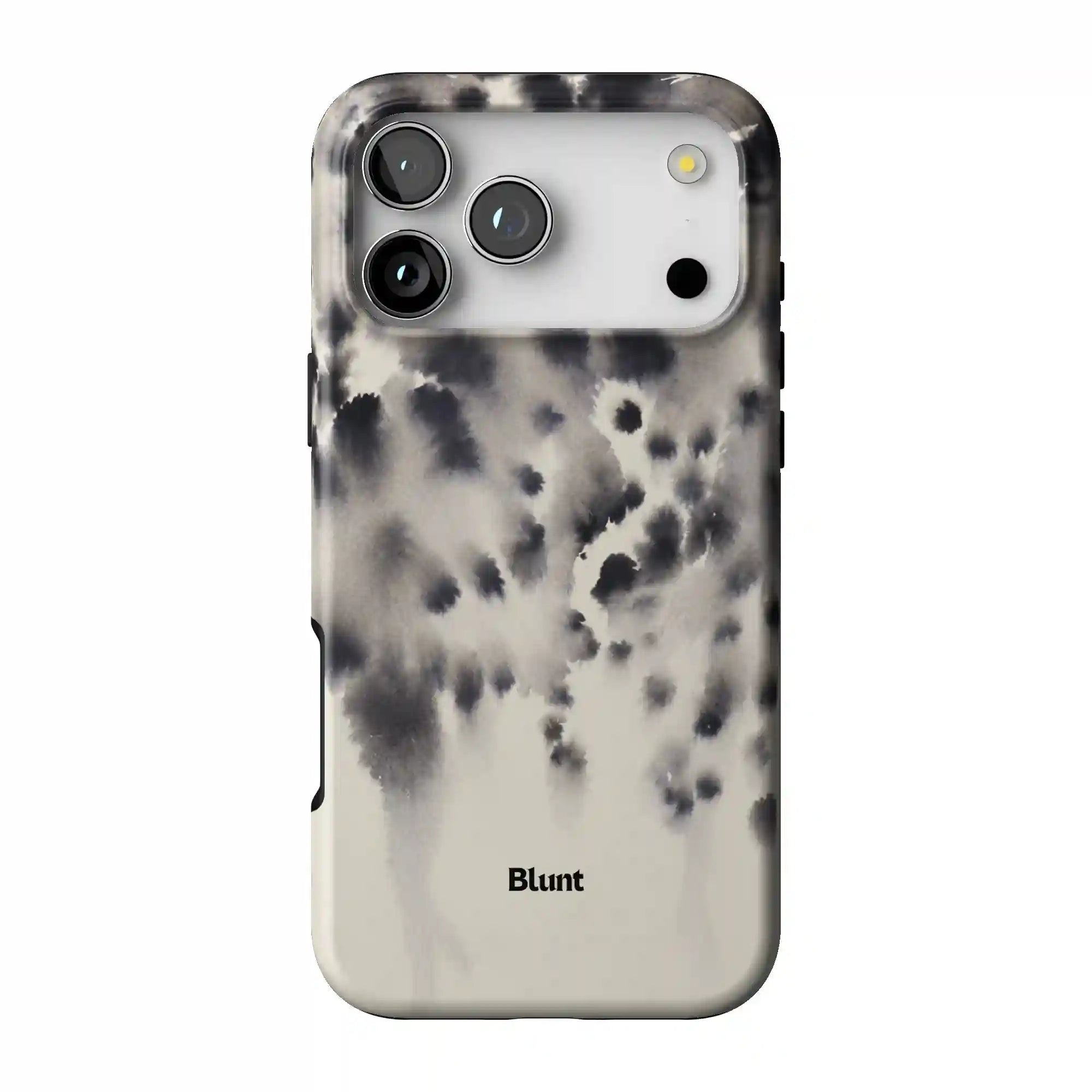bluntcasesus.it.com