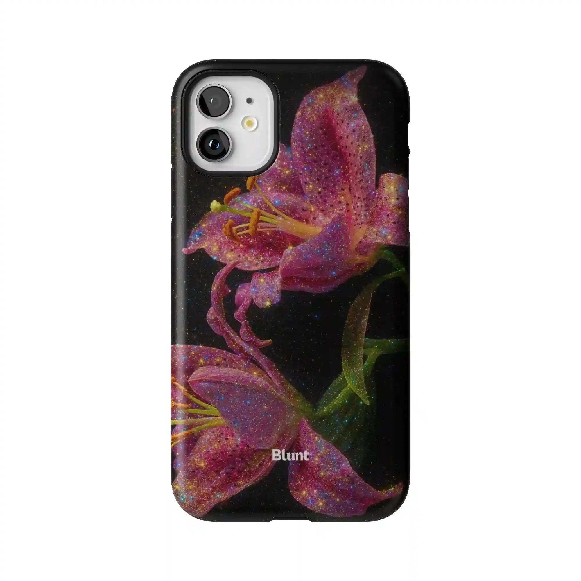 bluntcasesus.it.com