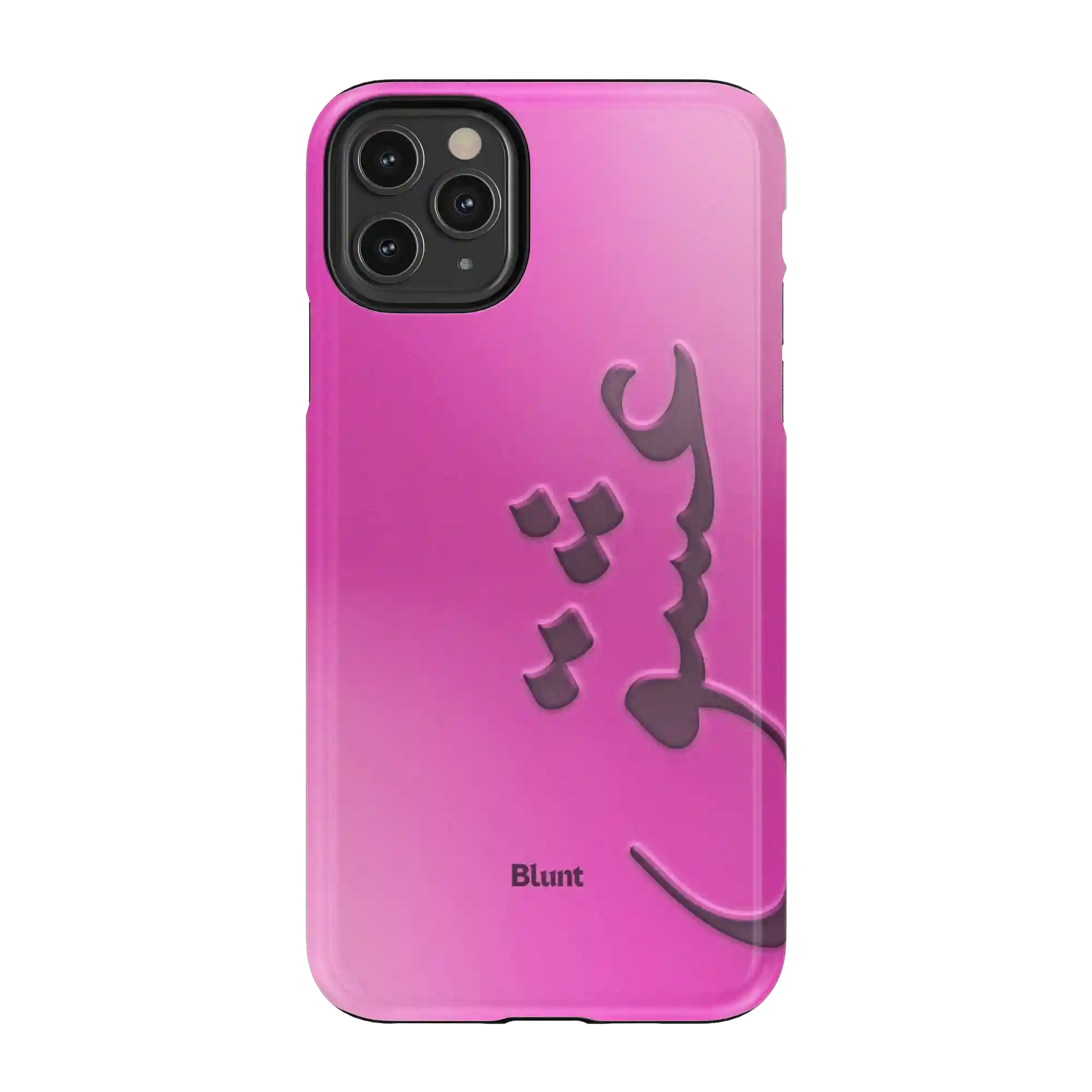 bluntcasesus.it.com