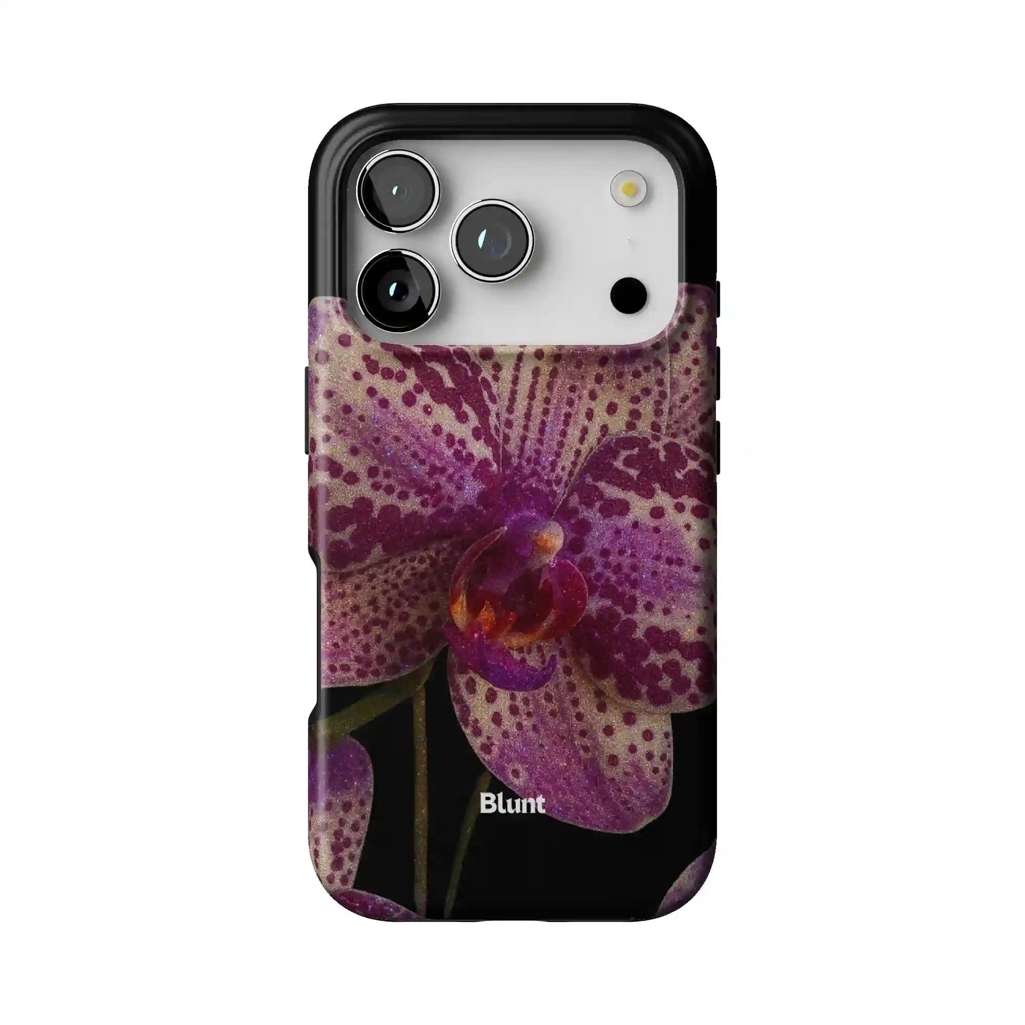 bluntcasesus.it.com