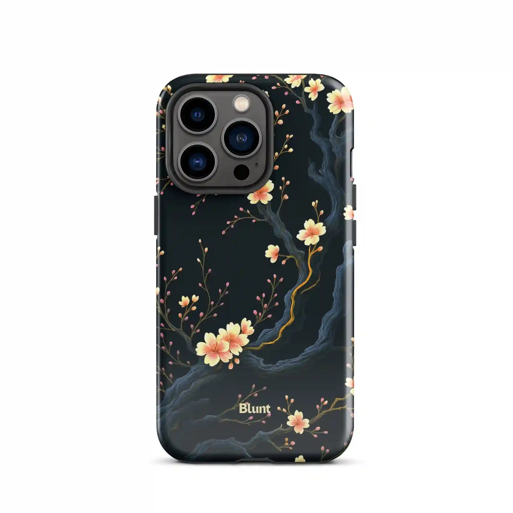 bluntcasesus.it.com