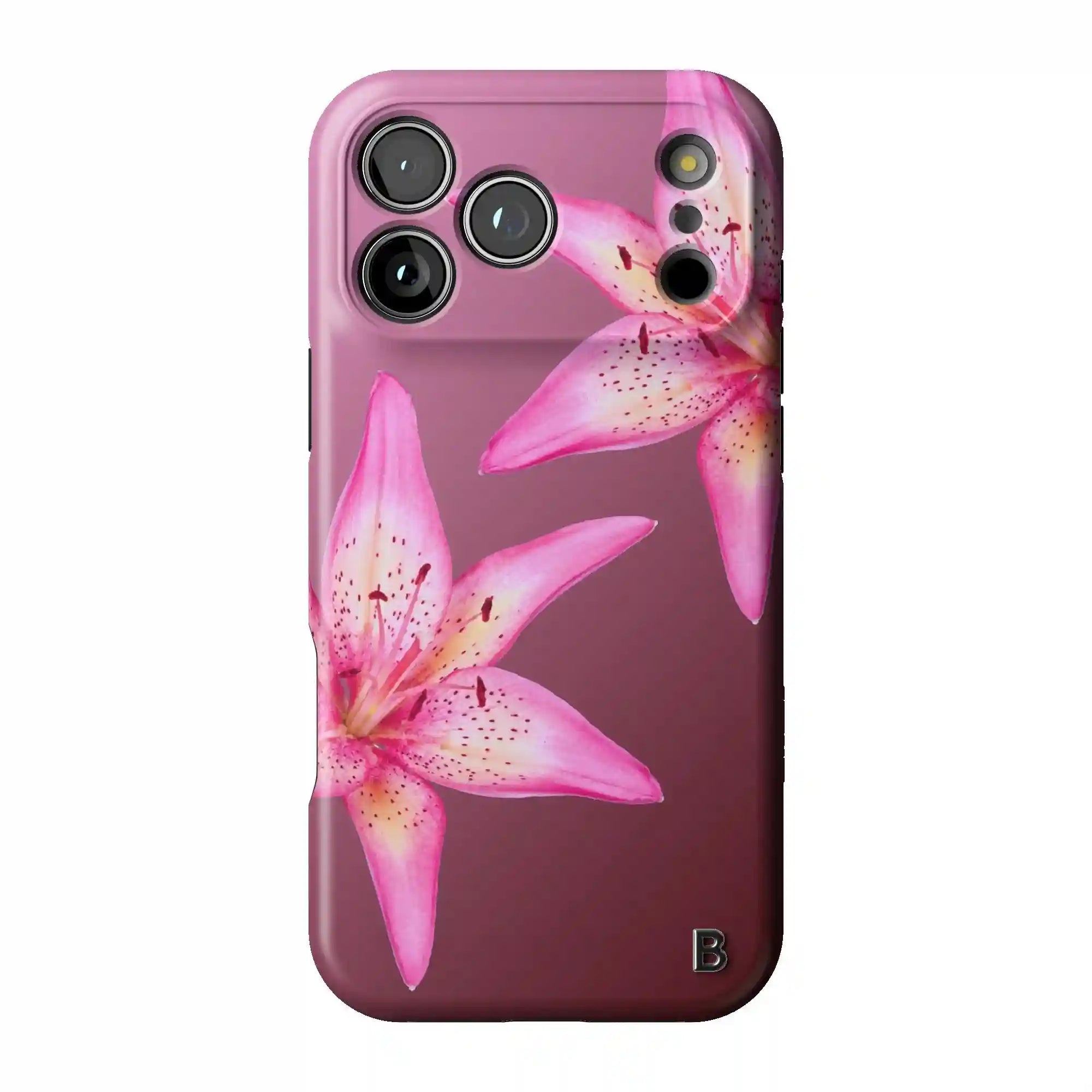 bluntcasesus.it.com