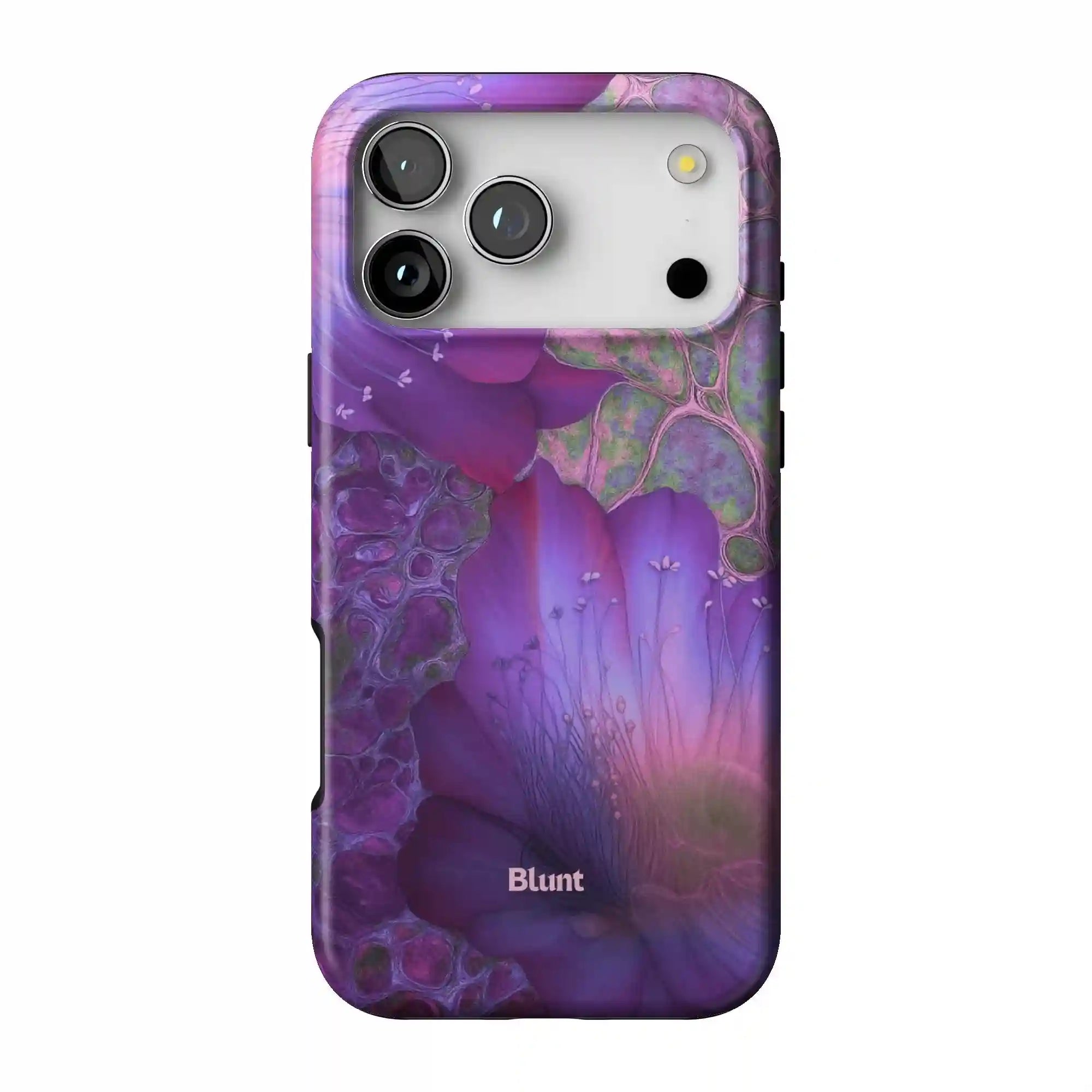 bluntcasesus.it.com