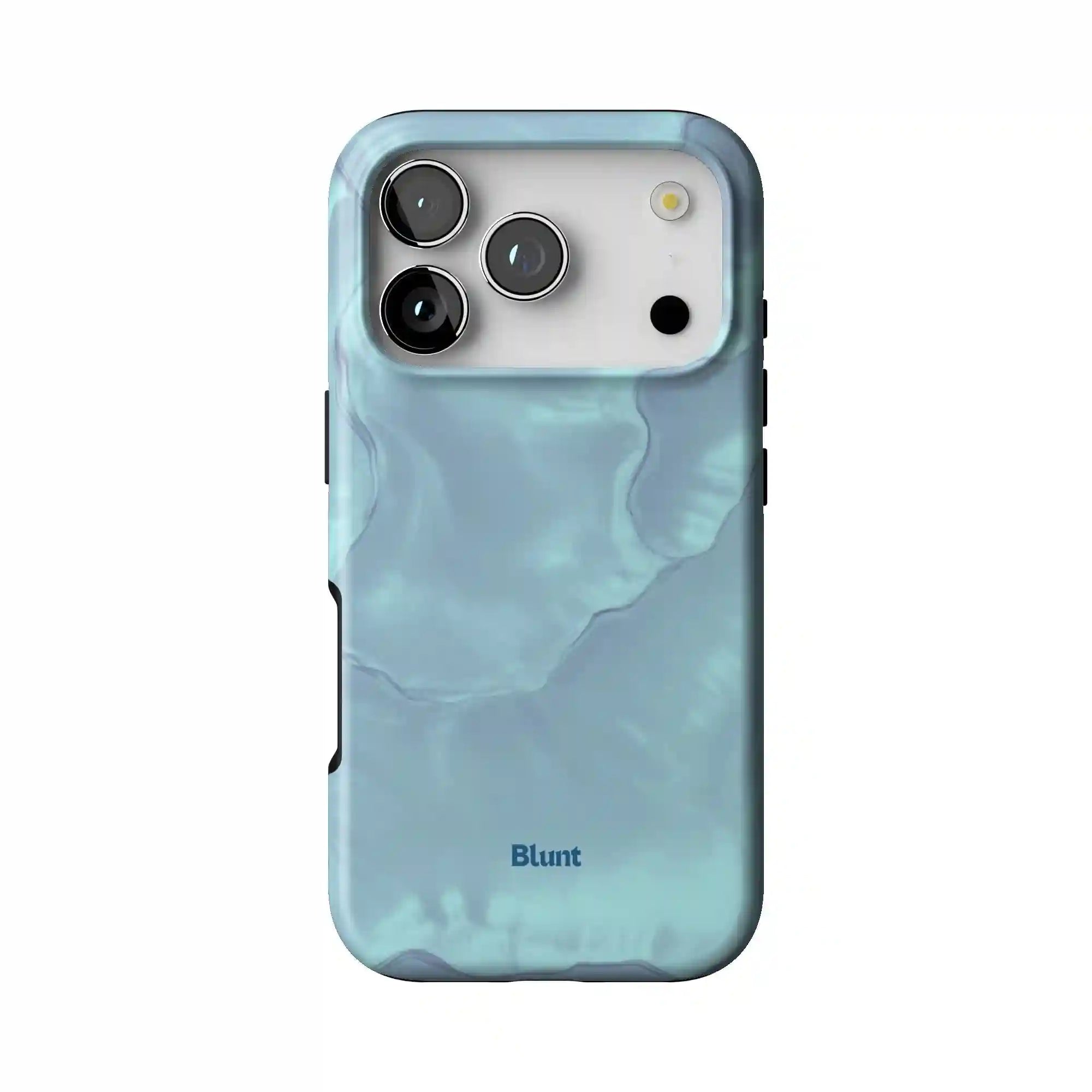 bluntcasesus.it.com