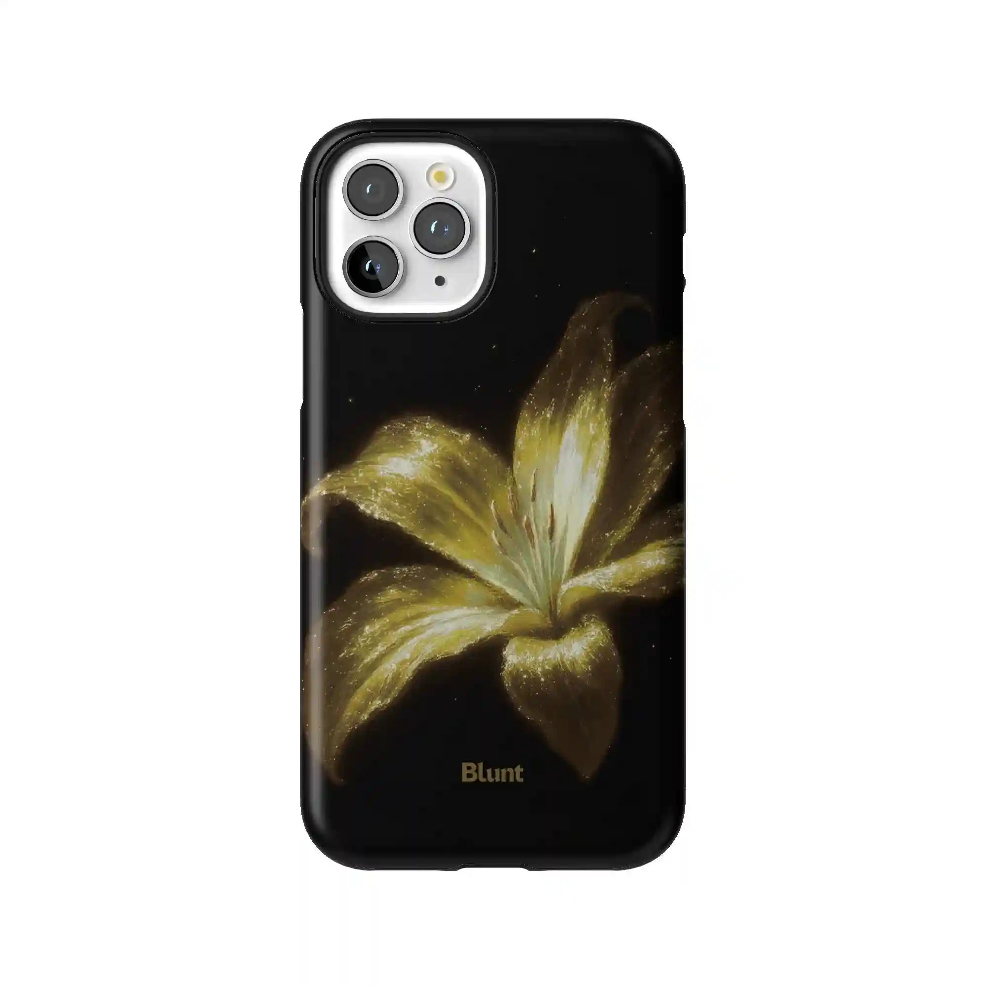 bluntcasesus.it.com