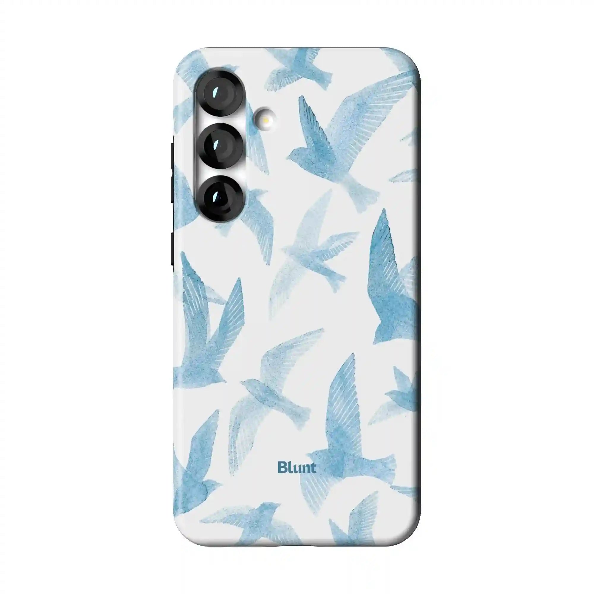bluntcasesus.it.com
