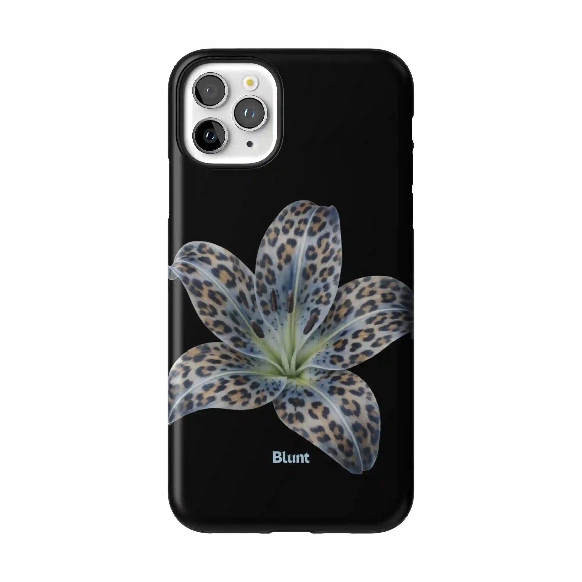bluntcasesus.it.com