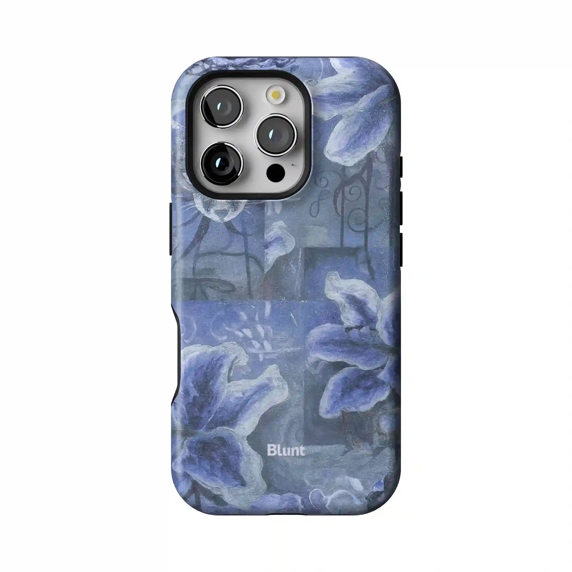 bluntcasesus.it.com