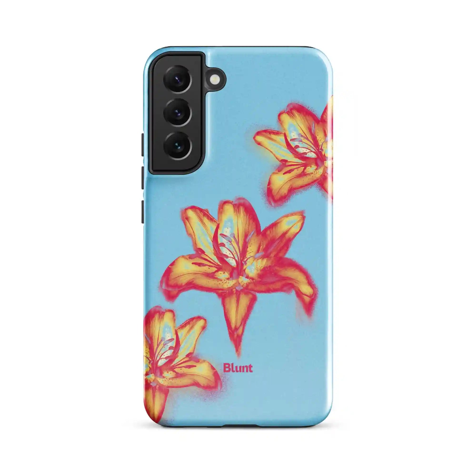 bluntcasesus.it.com