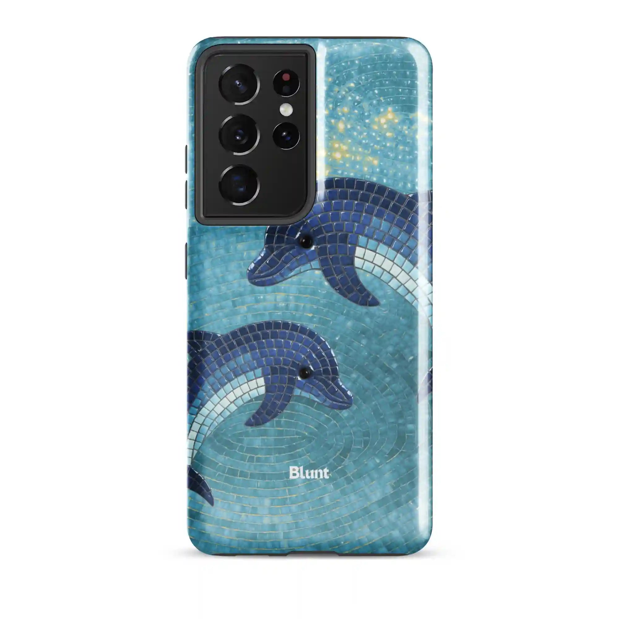 bluntcasesus.it.com