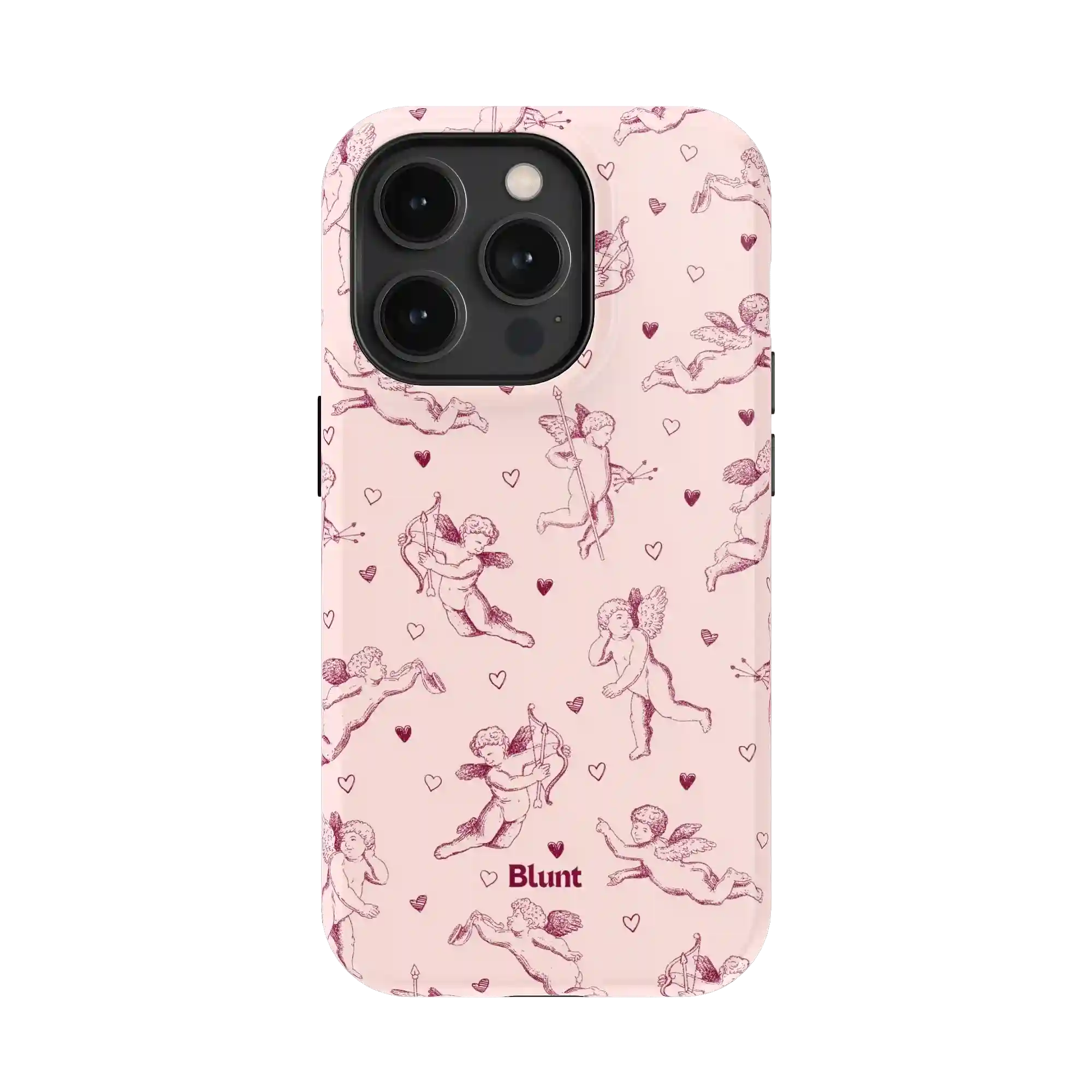 bluntcasesus.it.com