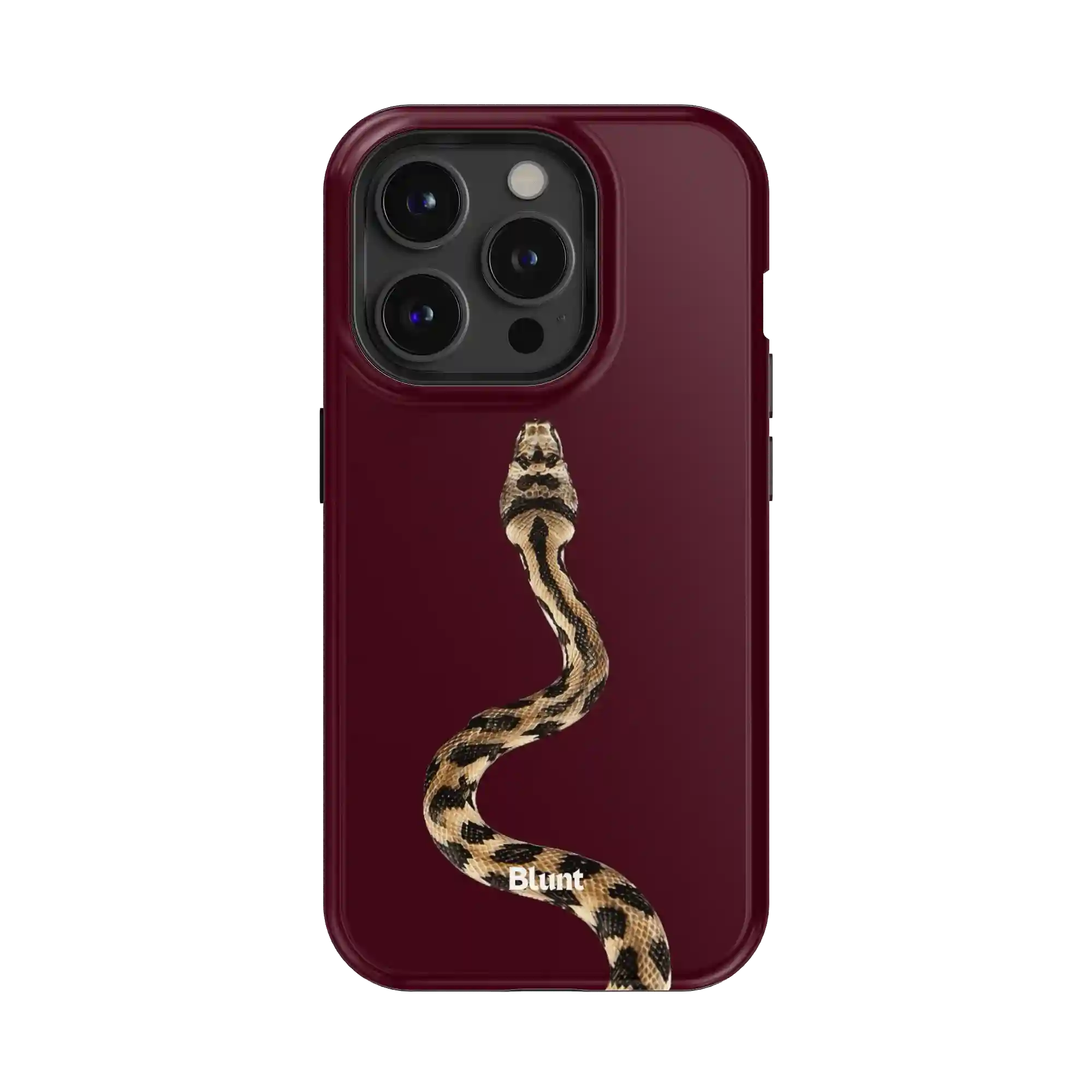 bluntcasesus.it.com
