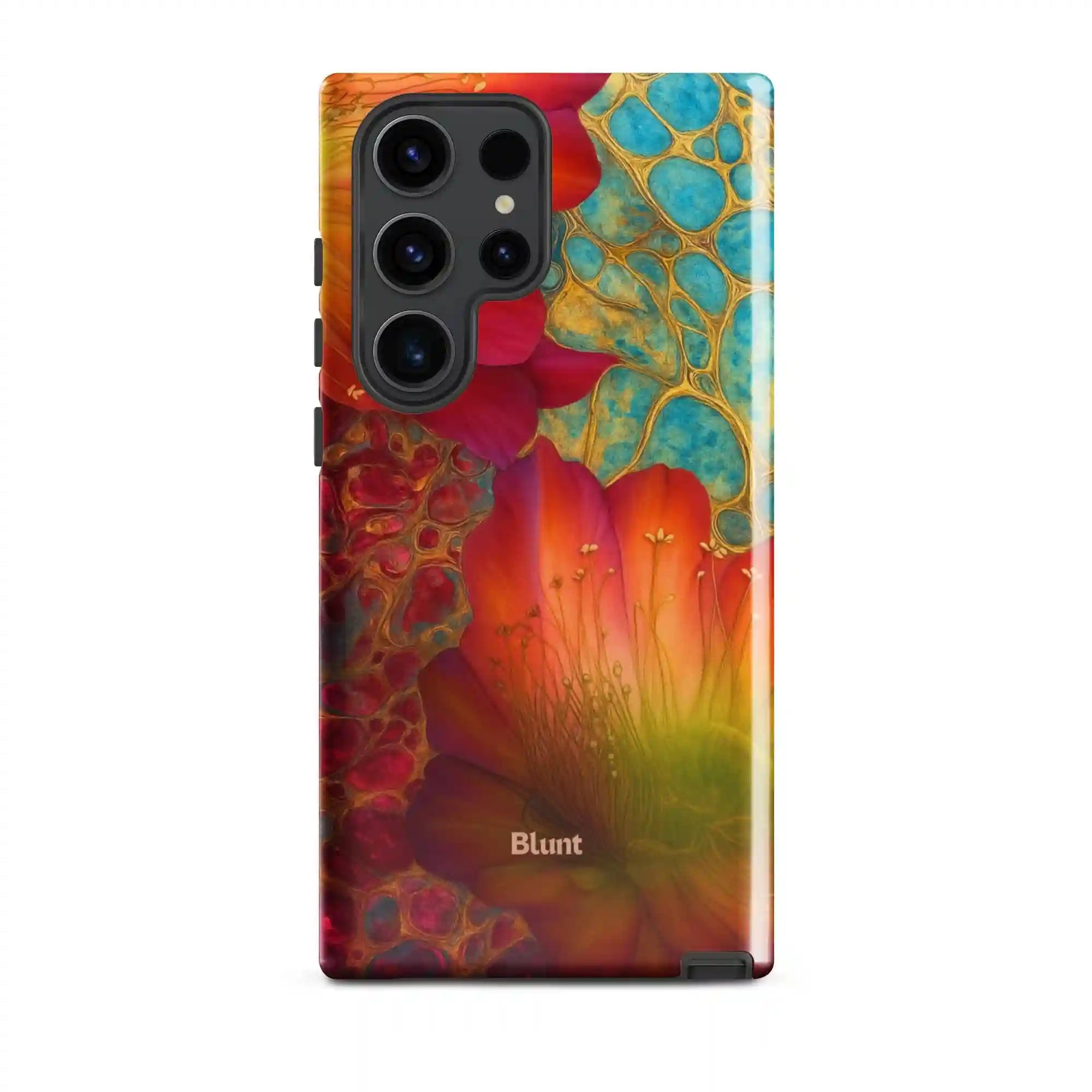bluntcasesus.it.com