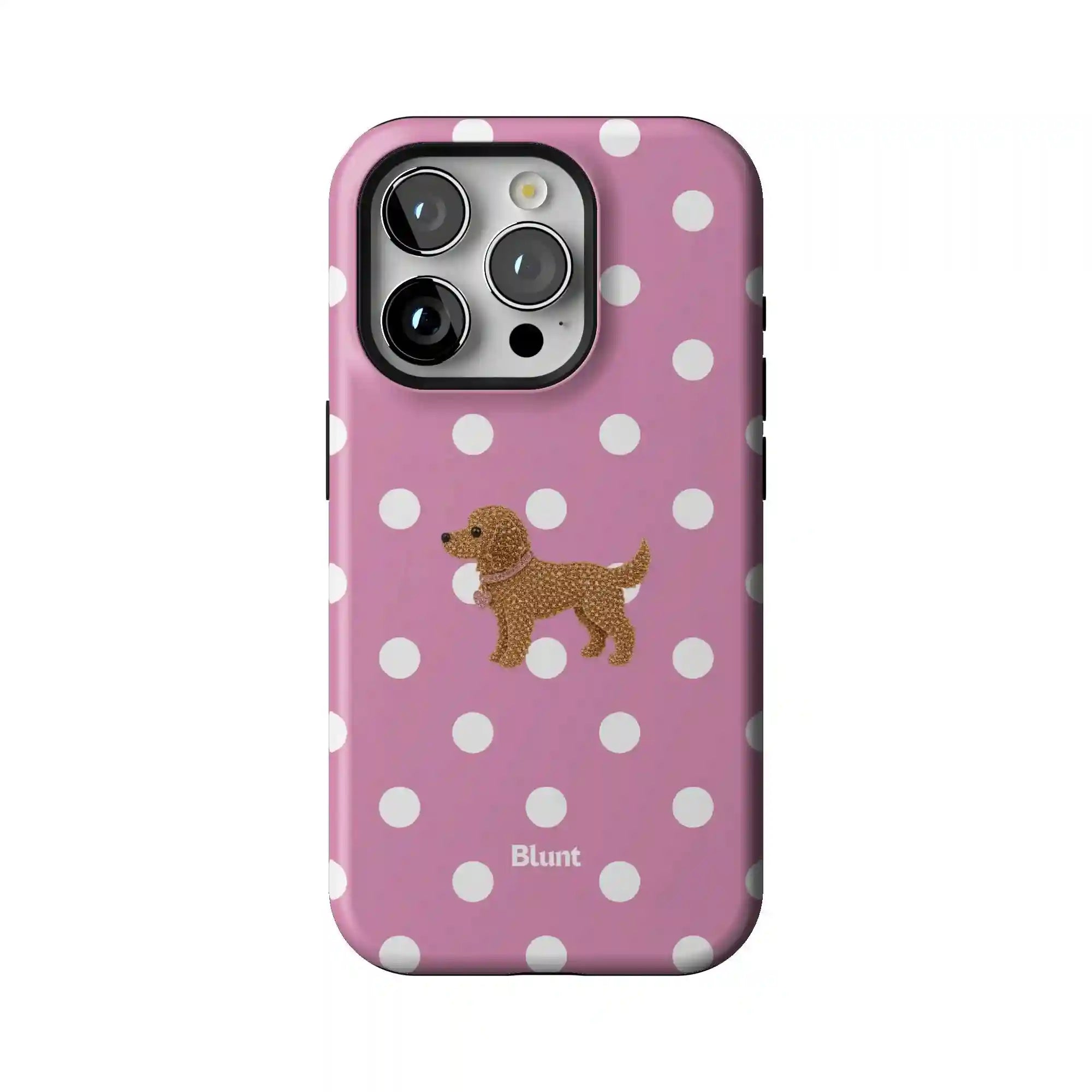 bluntcasesus.it.com
