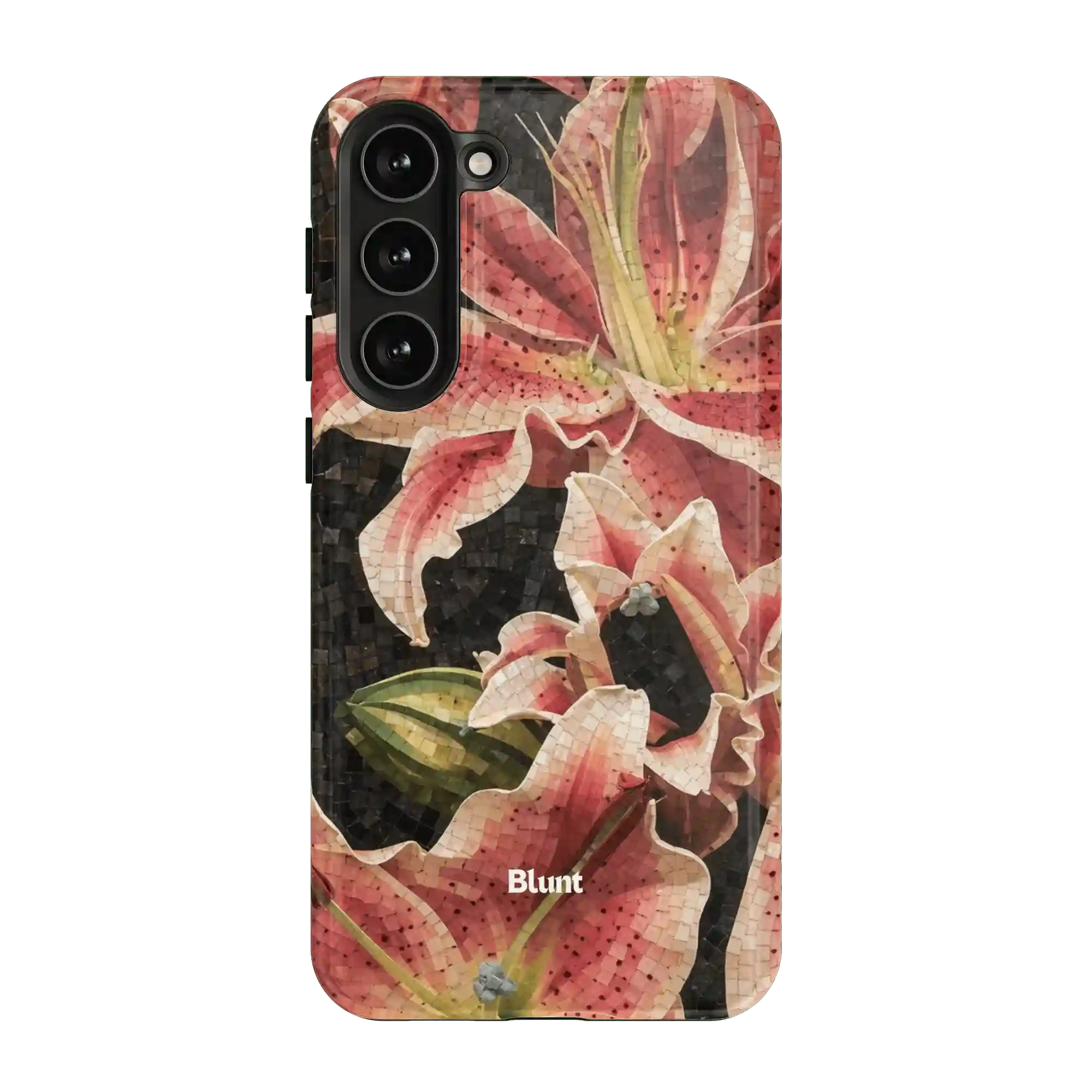 bluntcasesus.it.com