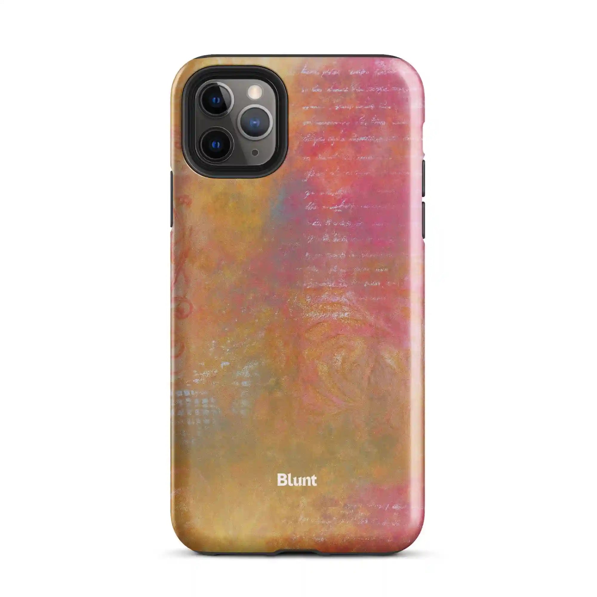 bluntcasesus.it.com