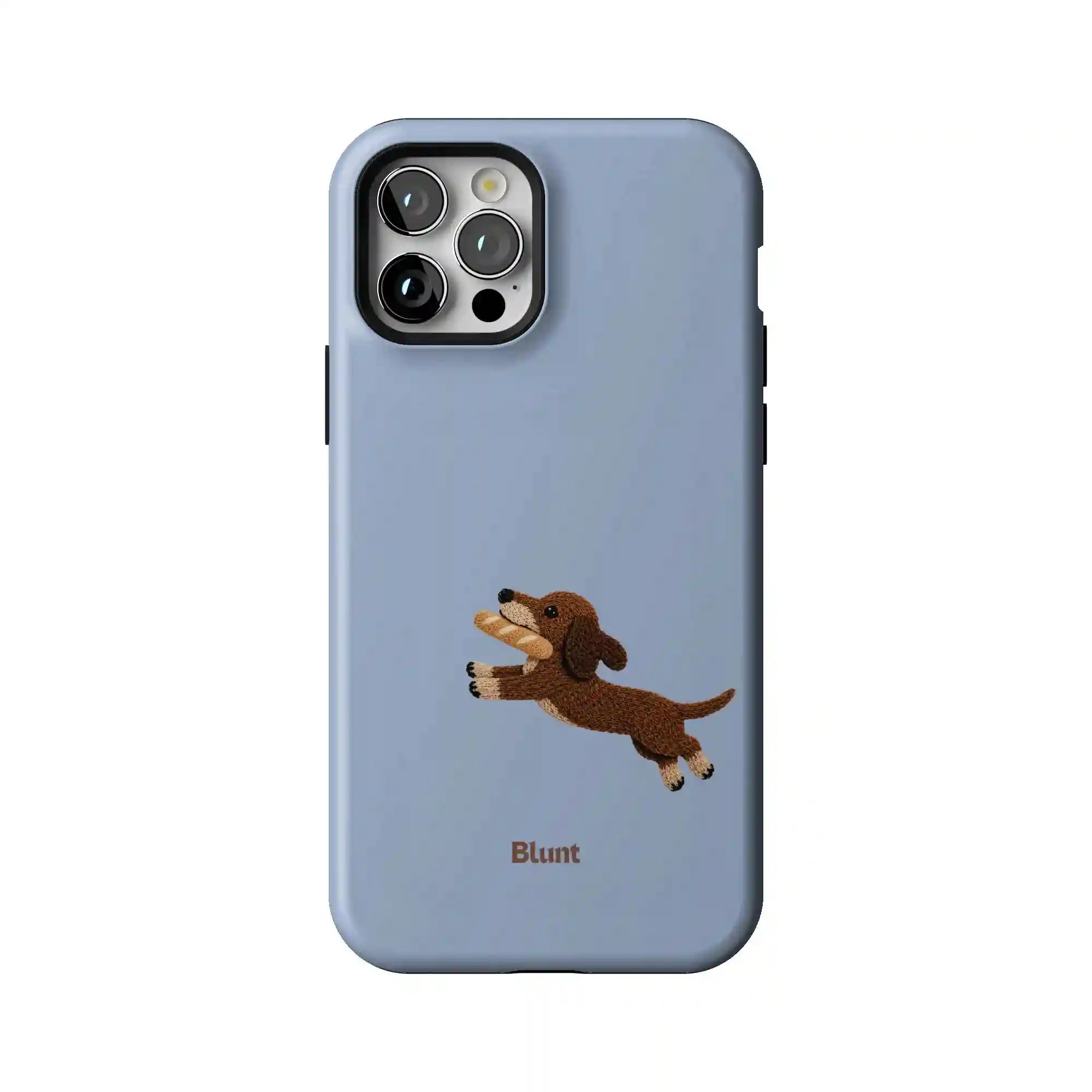 bluntcasesus.it.com