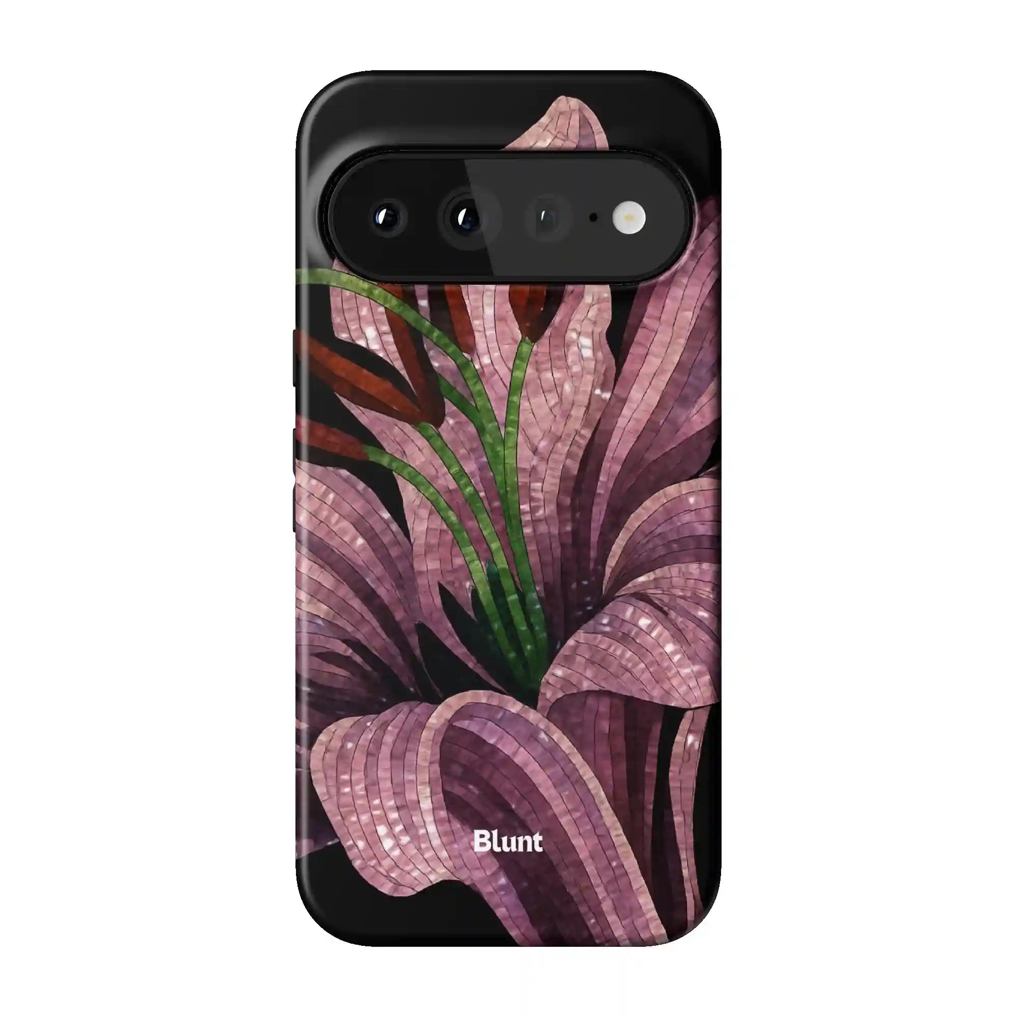 bluntcasesus.it.com