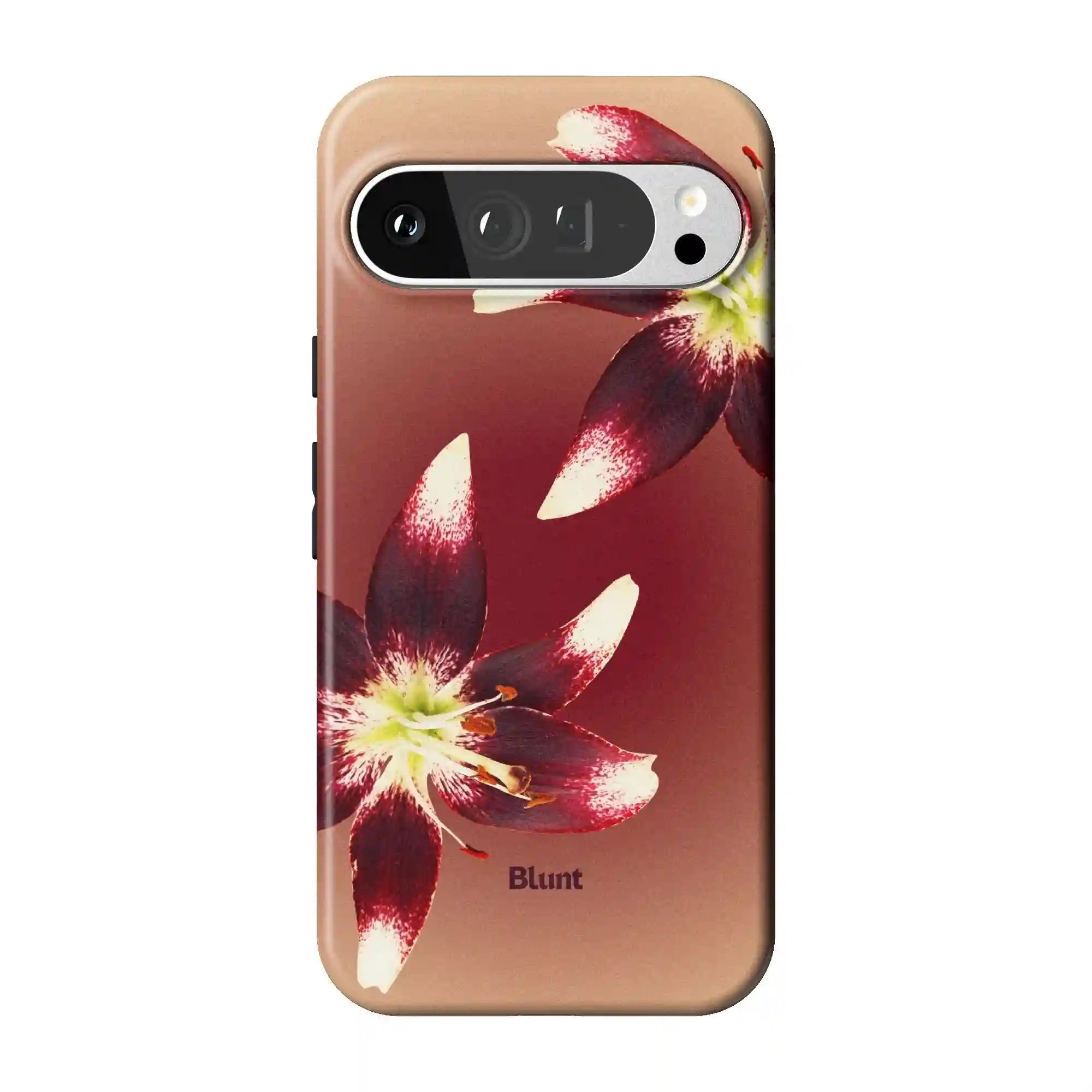 bluntcasesus.it.com