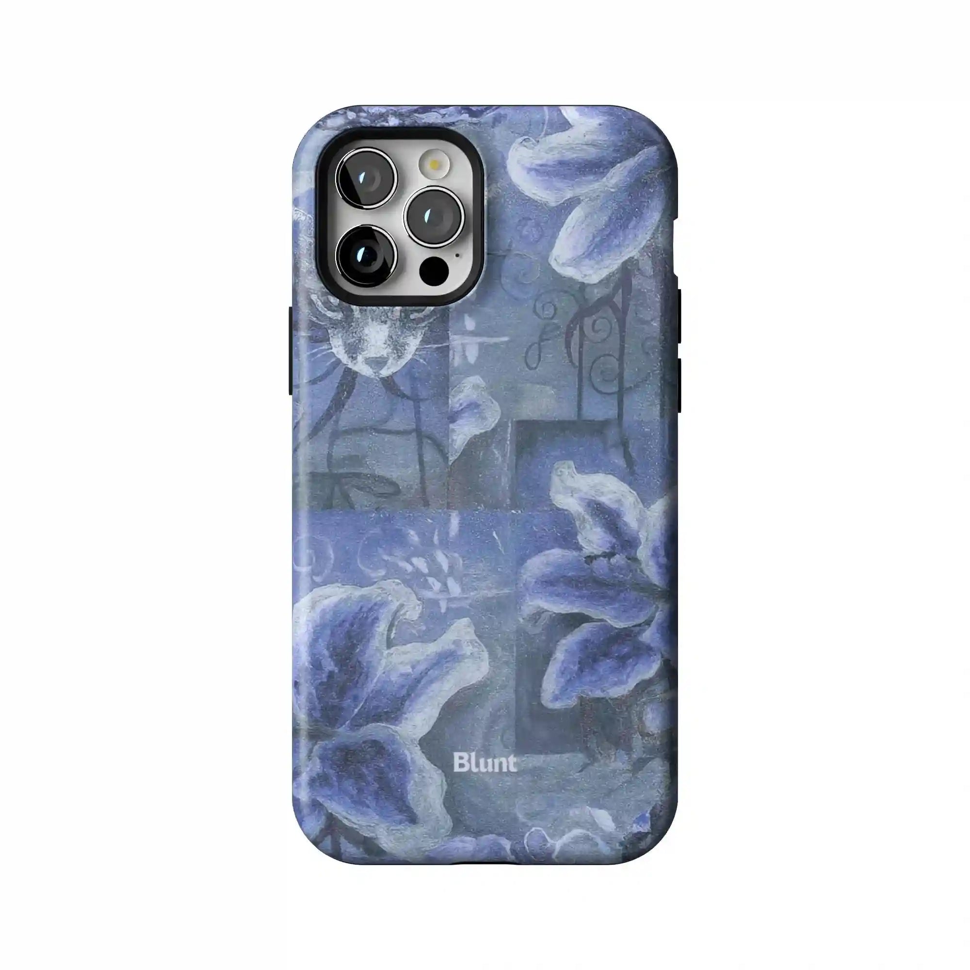 bluntcasesus.it.com