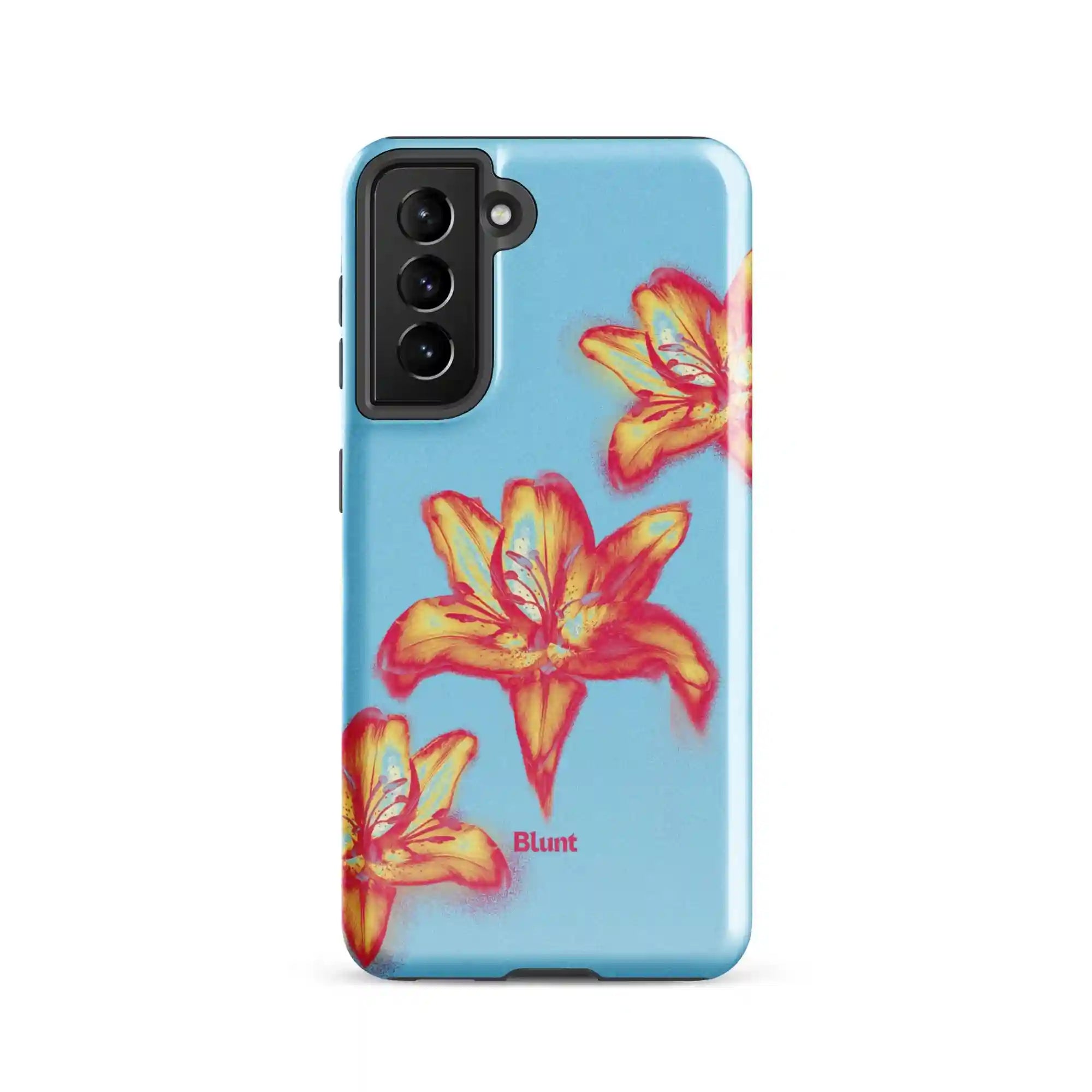 bluntcasesus.it.com