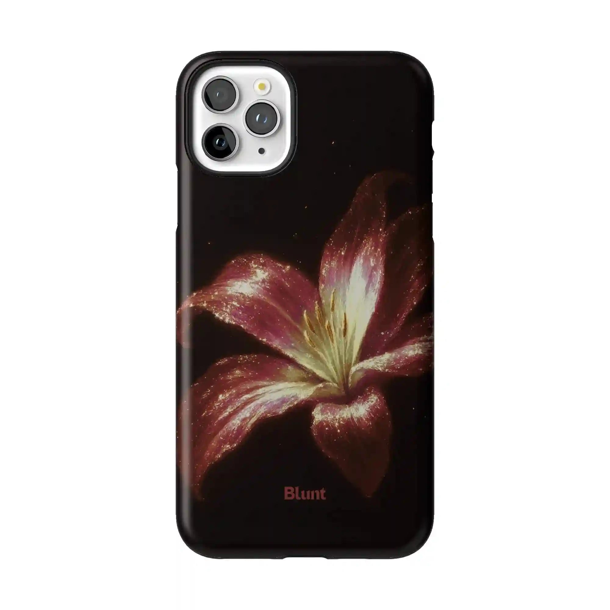 bluntcasesus.it.com
