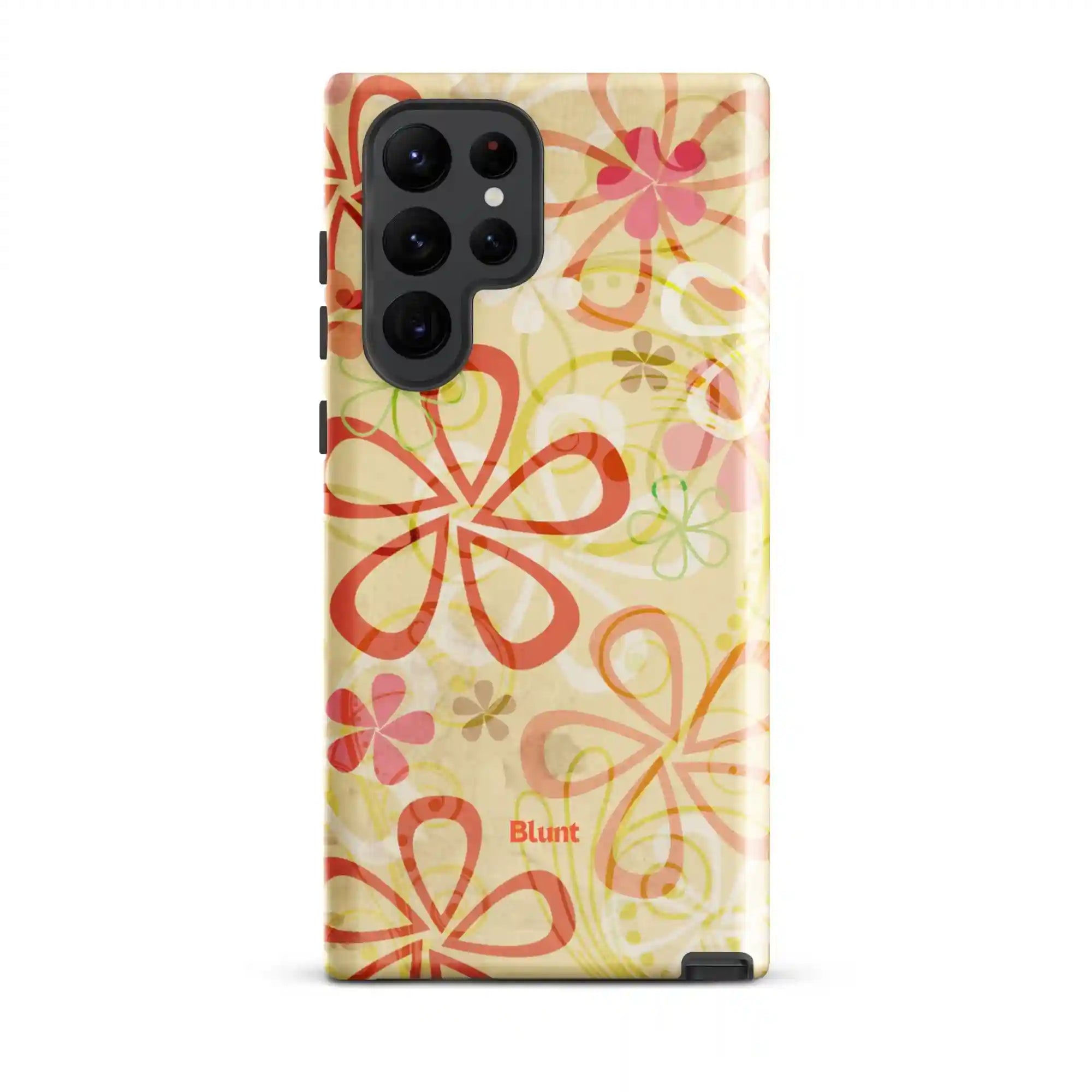 bluntcasesus.it.com