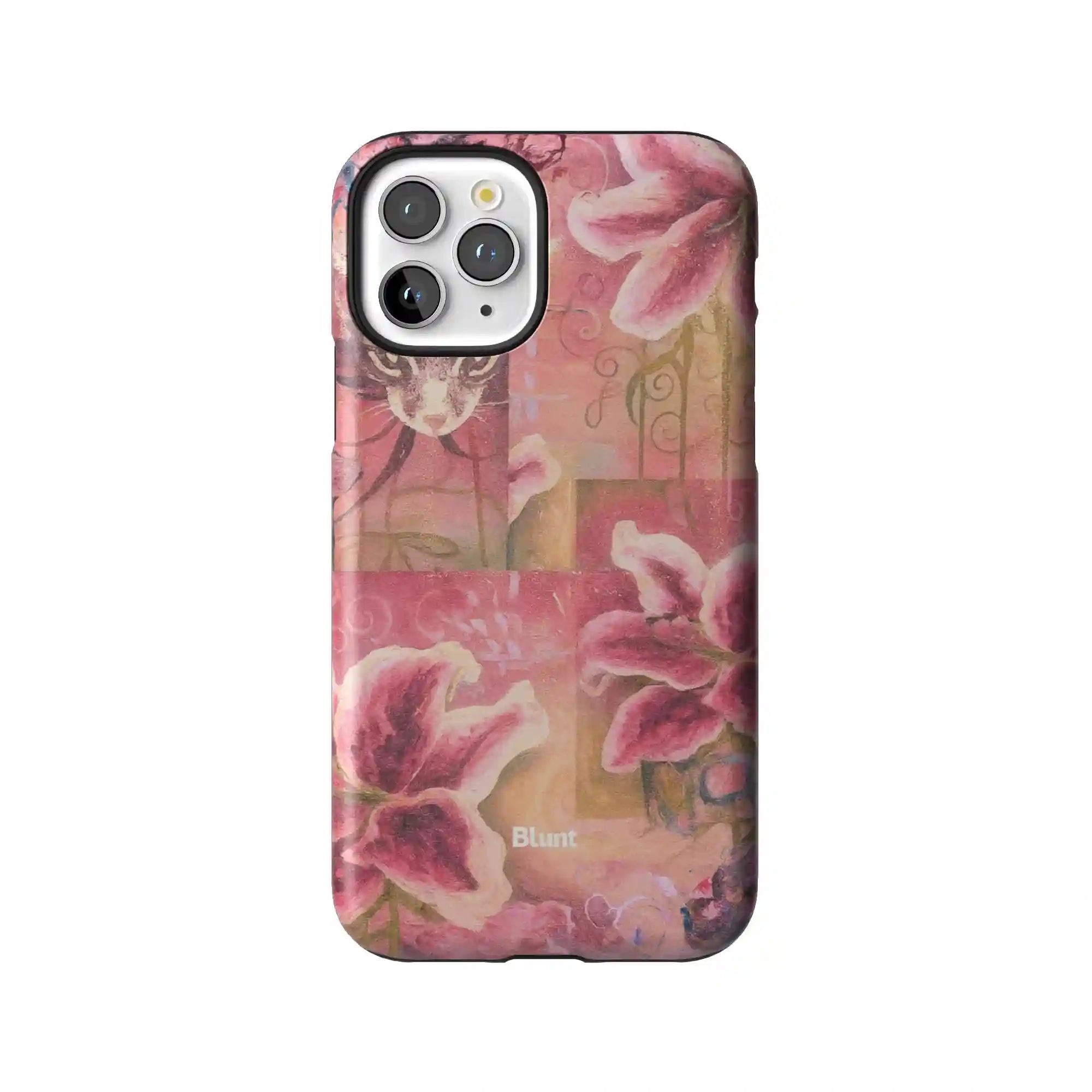 bluntcasesus.it.com