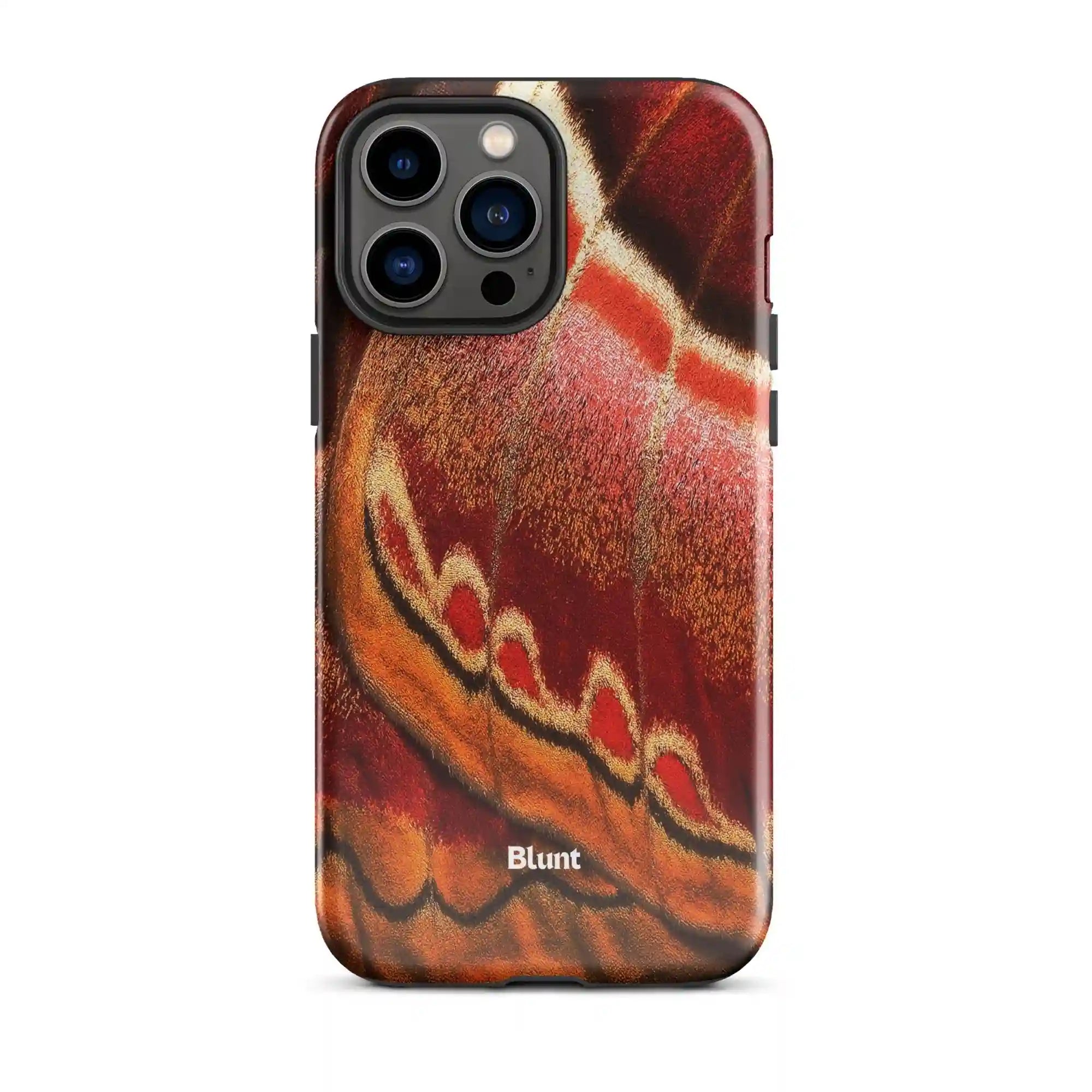 bluntcasesus.it.com